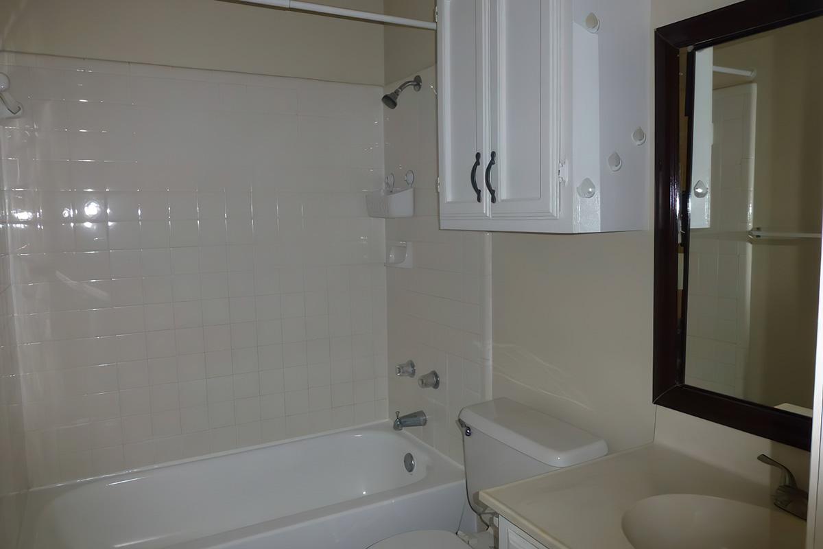 a sink and a white tub sitting next to a shower