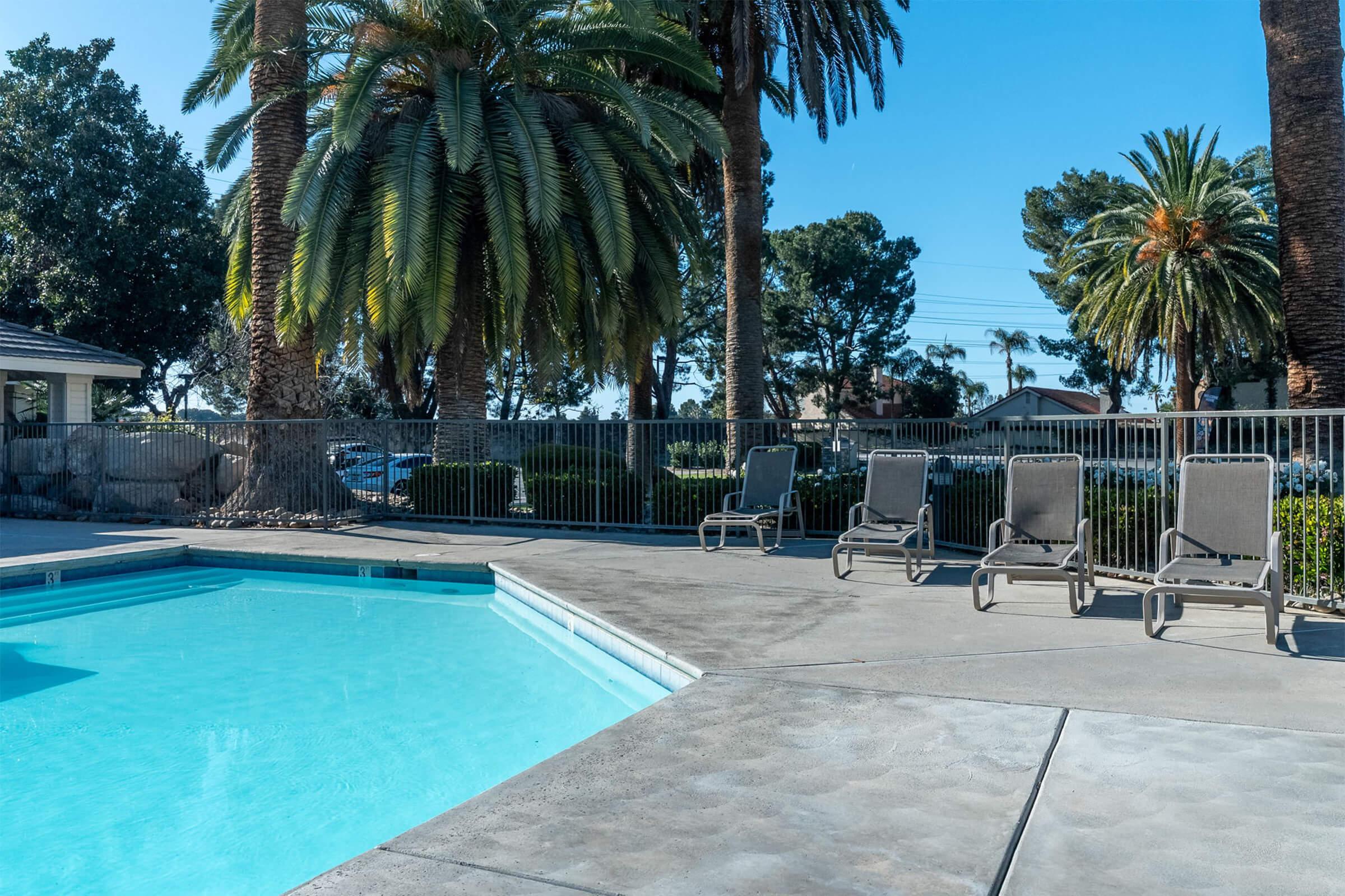 A clear swimming pool surrounded by a concrete deck and lounge chairs. Tall palm trees provide shade, and a manicured garden is in the background. The sky is bright blue, indicating a sunny day, and there are parked cars in the distance.
