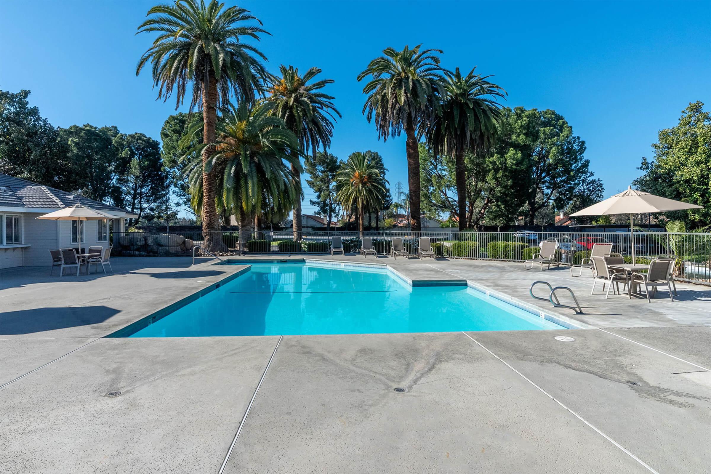 A bright outdoor pool surrounded by palm trees and lounge chairs. The clear blue water reflects the sunny sky, and there are umbrellas providing shade. In the background, a light-colored building is partially visible, enhancing the relaxed, vacation-like atmosphere.