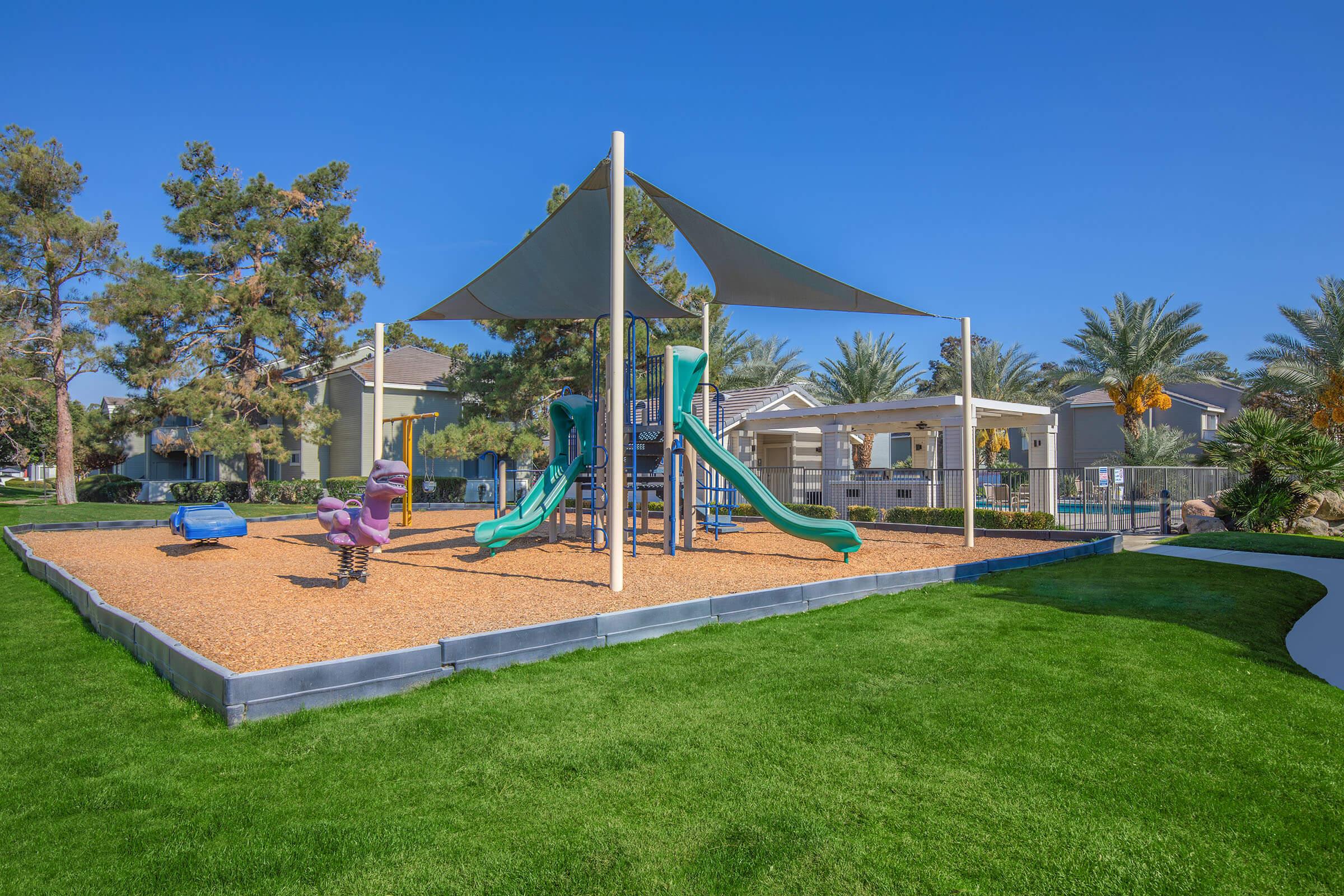 a large lawn in front of a palm tree