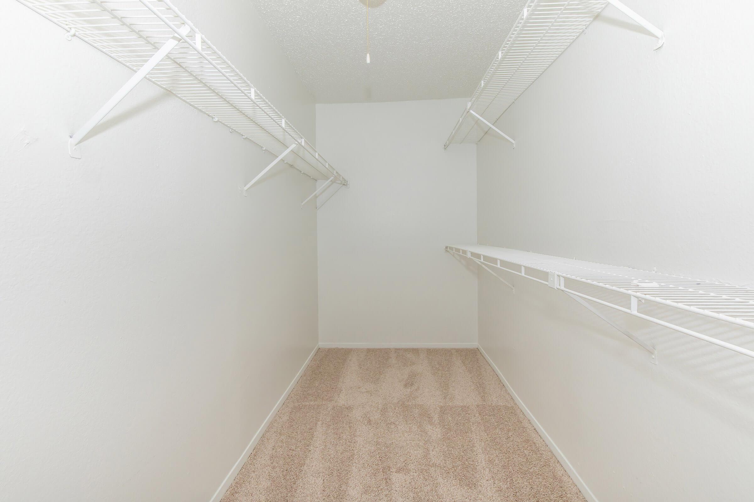 LARGE WALK-IN CLOSETS AT THE ARTS APARTMENTS AT BROADWAY COMMONES