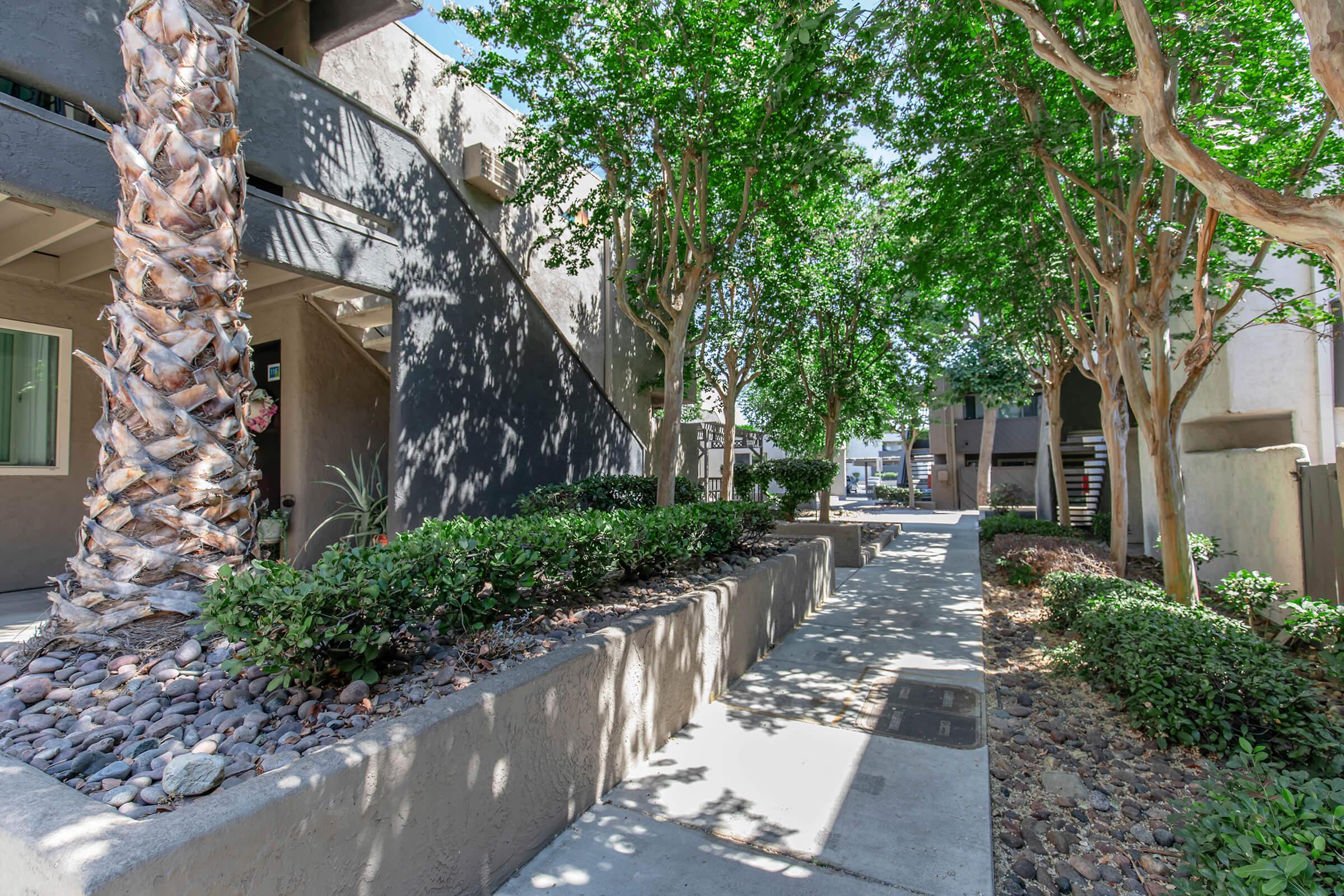 A well-maintained pathway lined with greenery, featuring palm trees and shrubs, leading to a residential complex. Sunlight filters through the leaves, creating a vibrant and inviting atmosphere in the outdoor space. The pathway is bordered by decorative rocks, enhancing the aesthetic appeal.