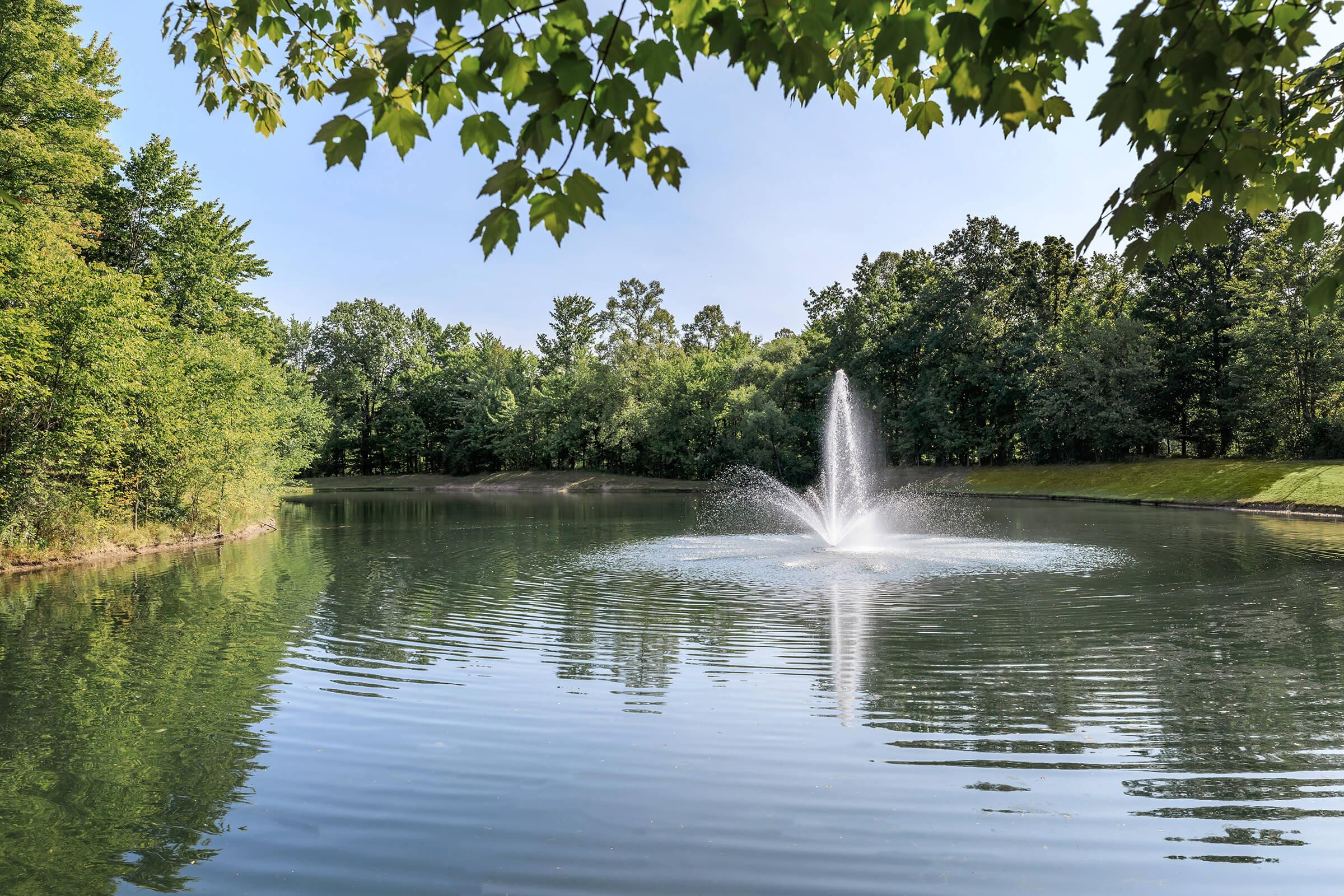 a body of water surrounded by trees