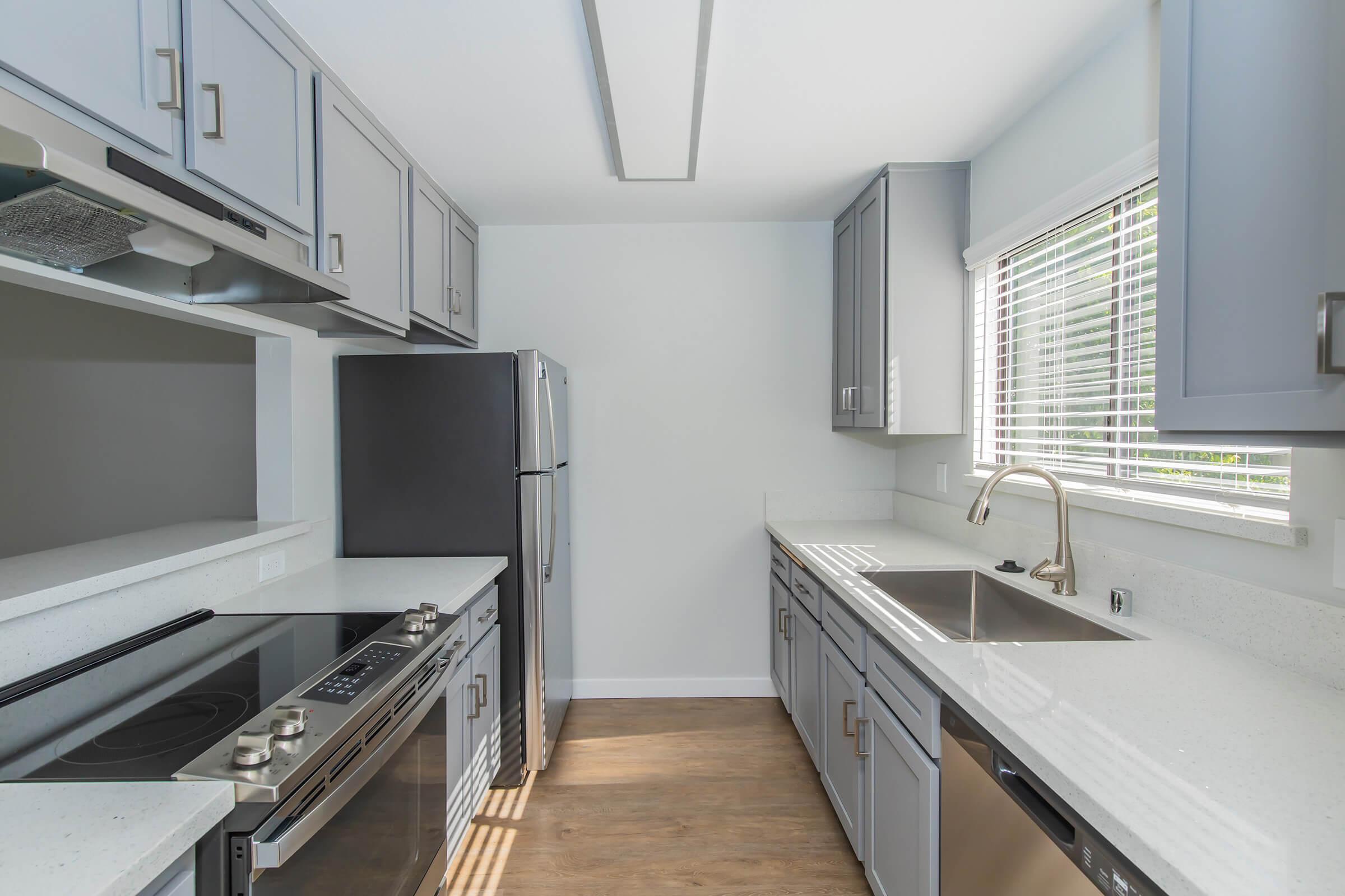 Elegant Kitchens
