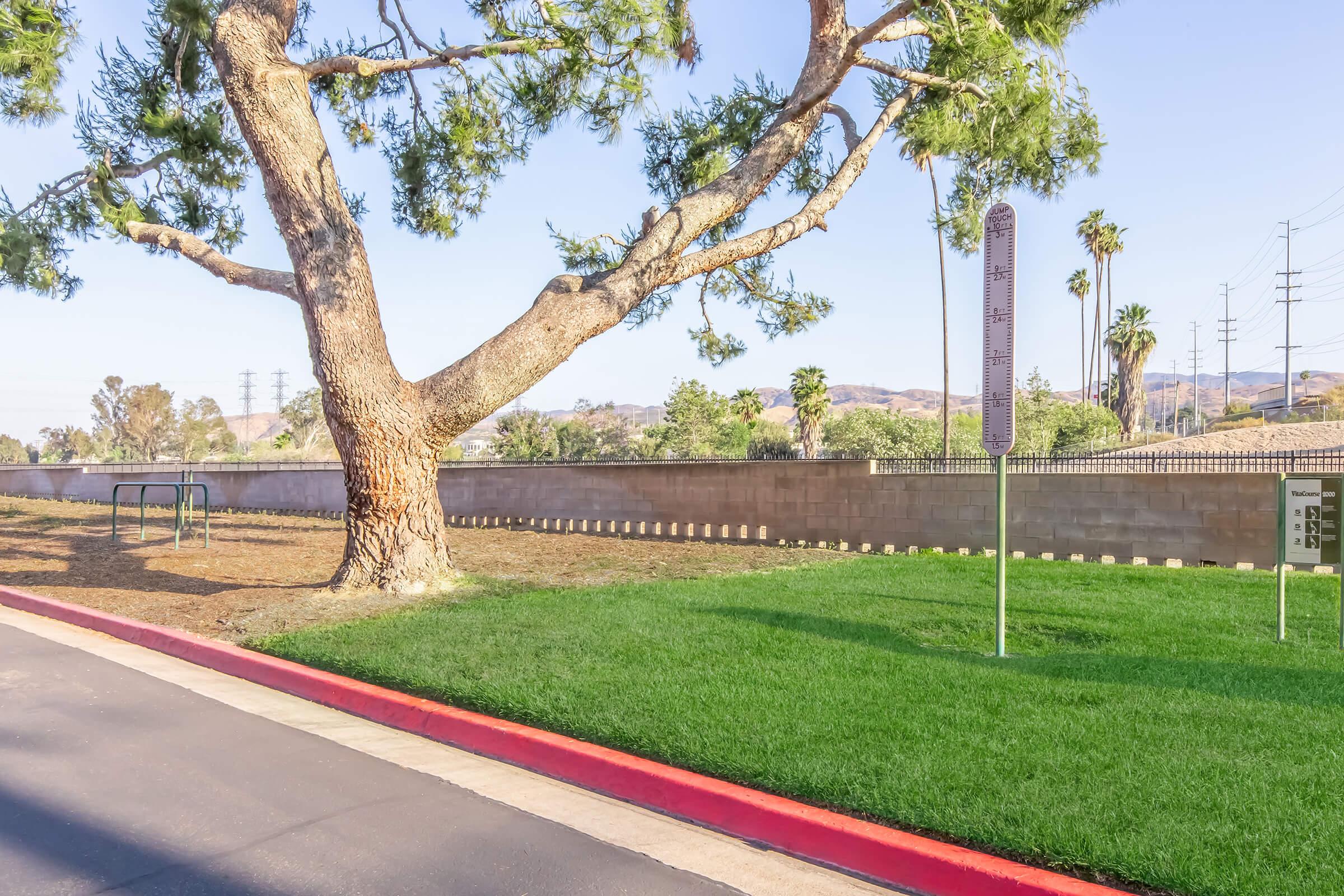 A large tree with a thick trunk and green foliage stands beside a grassy area. There is a playground structure in the background and a signpost with regulatory information. Palm trees and distant hills are visible, set against a clear blue sky. A paved pathway runs alongside the grassy area with a red curb.