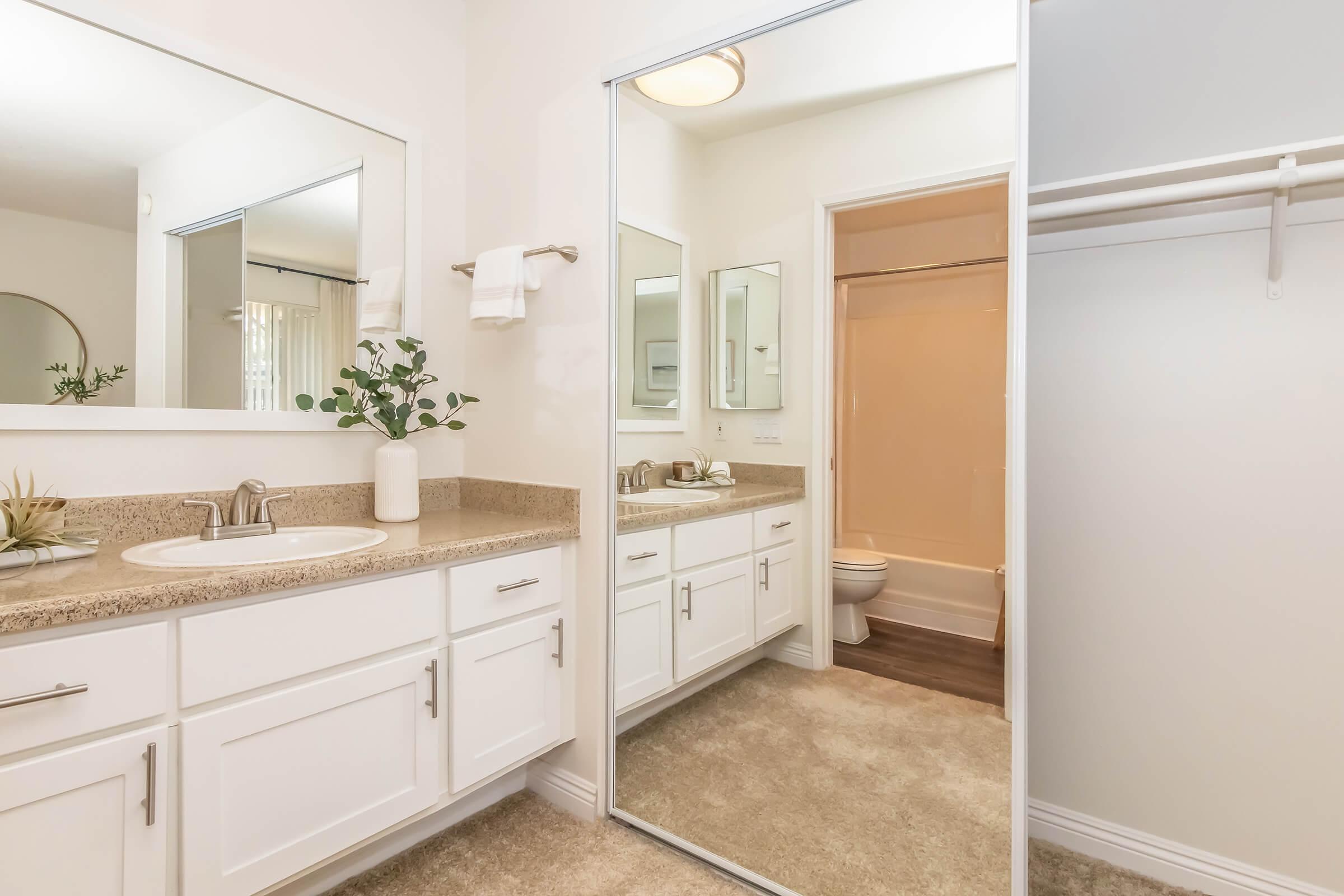 A bright and spacious bathroom featuring dual mirrors above a long countertop with a sink. The countertop is adorned with a small plant and toiletries. A beige shower area is visible in the background, and a closet with a hanging bar is on the right. The walls are painted in soft colors, creating a calming atmosphere.