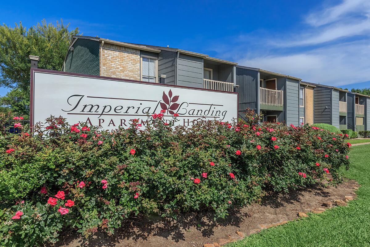 a close up of a flower garden in front of a building