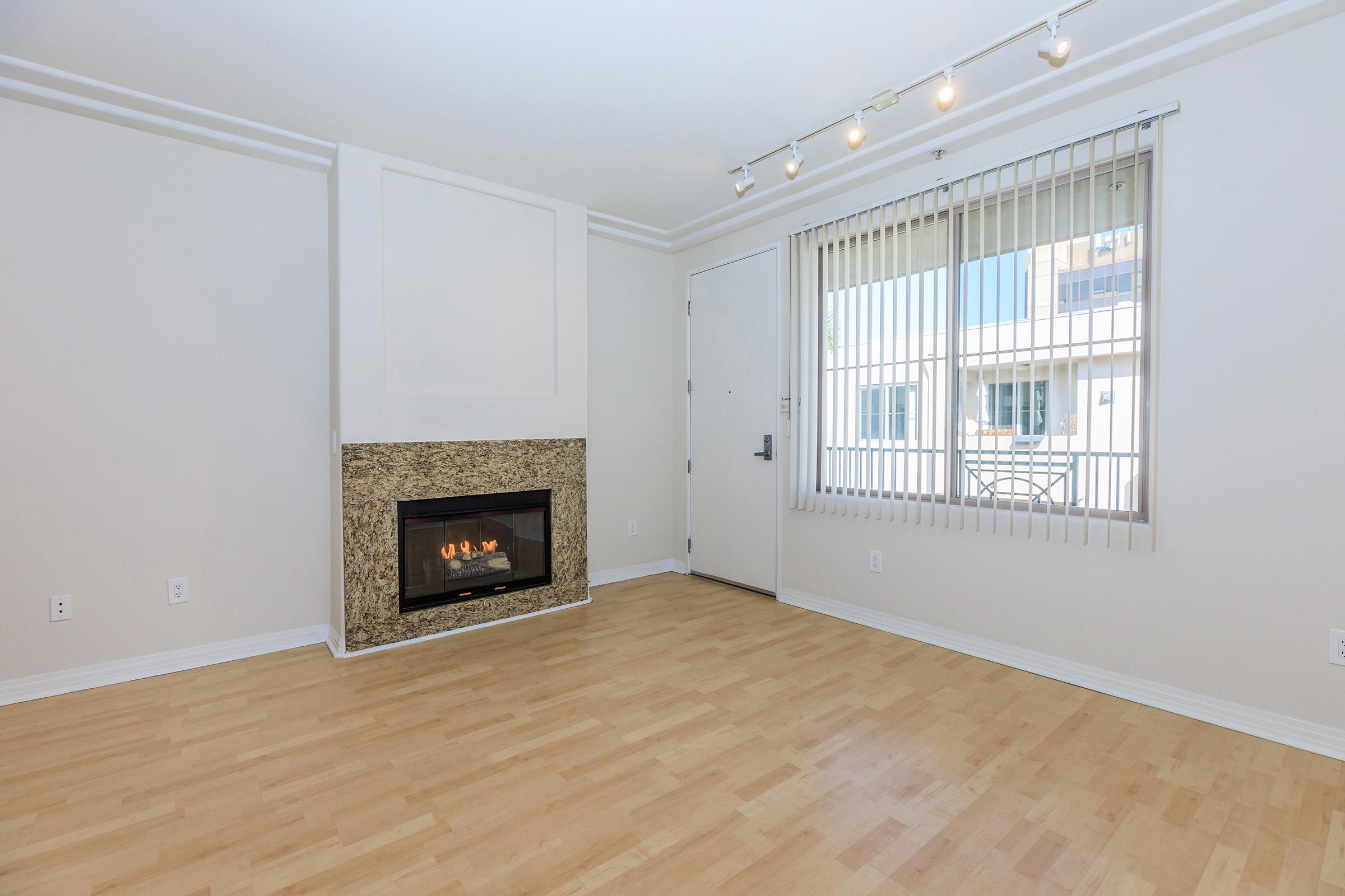 Living room with fireplace