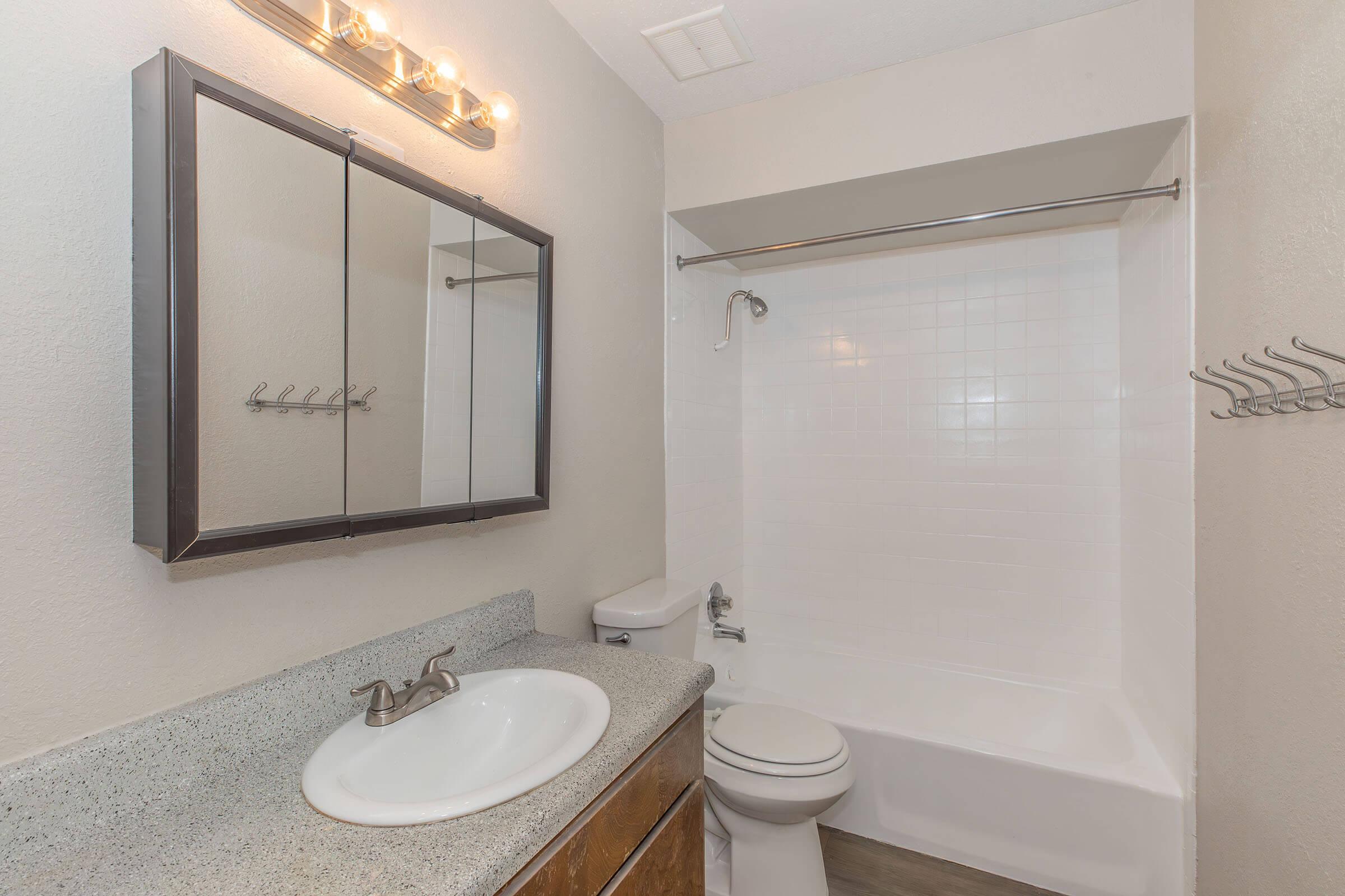 a shower that has a sink and a mirror