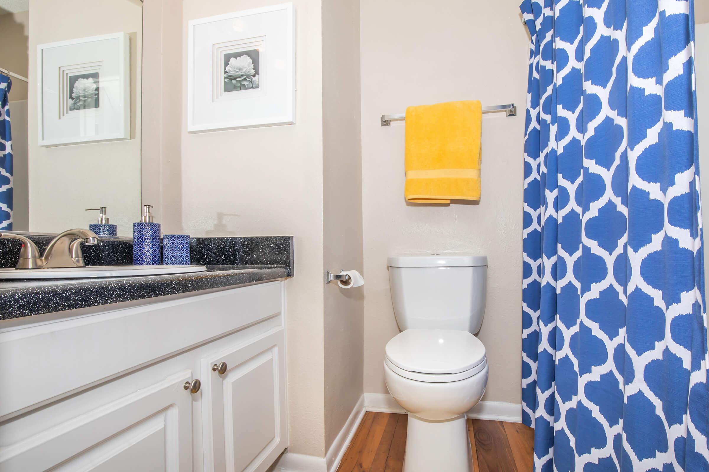 a blue and white shower curtain