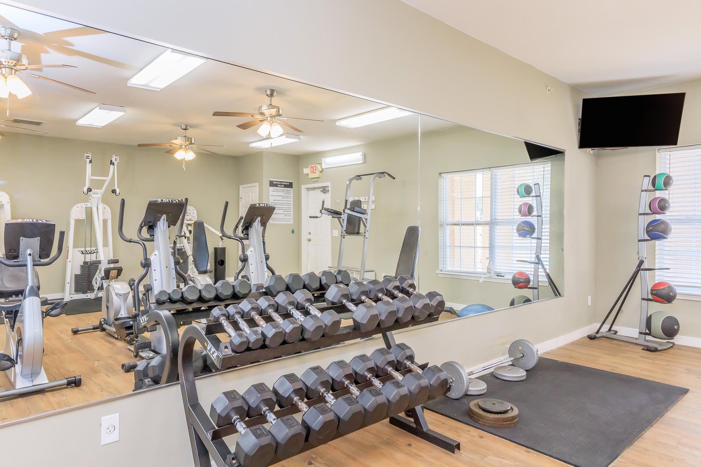 A well-lit gym interior featuring a mirrored wall. Equipment includes various exercise machines, a set of dumbbells on a rack, and fitness balls on a wall-mounted rack. The flooring is wood, and there are ceiling fans for ventilation. A television is mounted on the wall.
