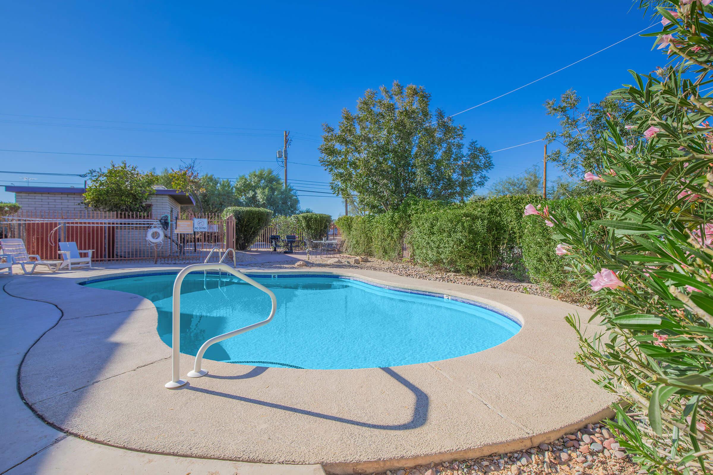 A clear, inviting swimming pool is surrounded by a concrete deck and lush greenery under a bright blue sky. Nearby, lounge chairs are placed for relaxation, and a fence provides privacy. The scene is tranquil and perfect for outdoor leisure.