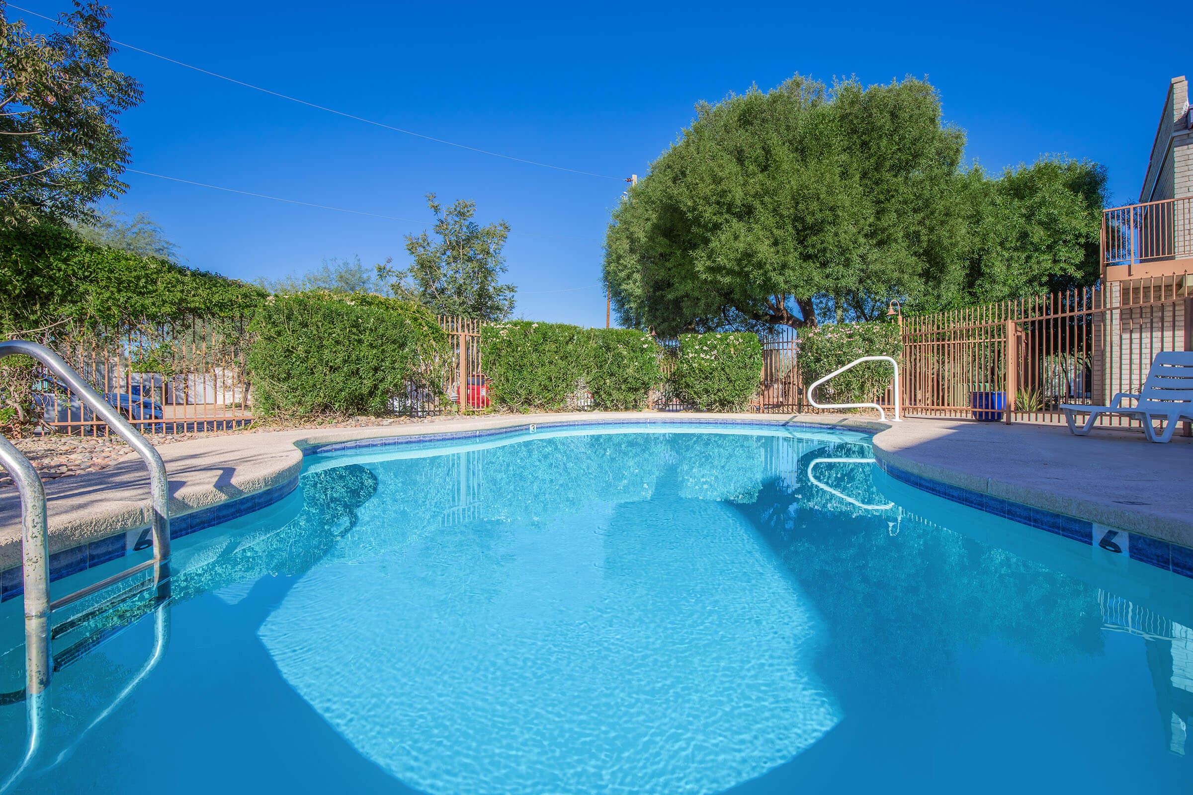 A clear blue swimming pool surrounded by lush green landscaping and a wooden fence. Sunlight reflects off the water, and a few trees provide shade nearby. The sky is bright blue, indicating a sunny day.