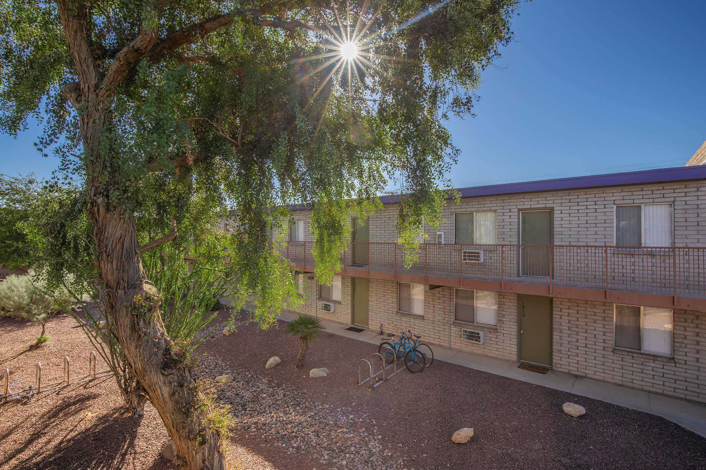 A bright sunburst shines through the leaves of a large tree in front of a two-story apartment building. The building has multiple windows and balconies, with bicycles parked nearby on gravel ground. Surrounding greenery adds a sense of tranquility to the scene.