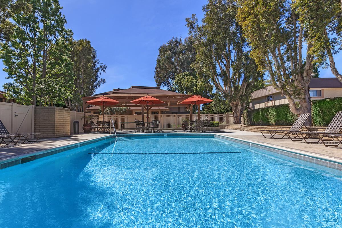 A clear, blue swimming pool surrounded by lounge chairs and umbrellas in a sunny outdoor area. Lush trees and a building are visible in the background, creating a relaxing atmosphere.