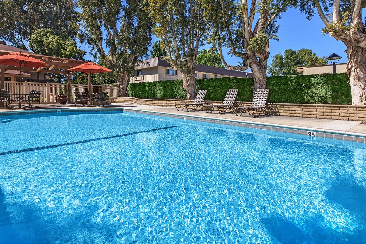 A clear blue swimming pool surrounded by lounge chairs. Sun loungers are placed on the pool deck, and large trees provide shade. Bright blue skies and well-maintained landscaping enhance the inviting atmosphere of the pool area.