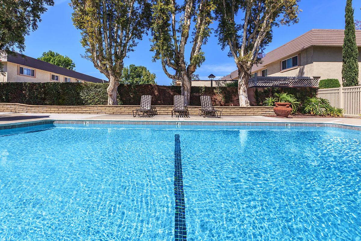 A clear swimming pool surrounded by lounge chairs and tall trees. The pool features a blue tile line down the center and is enclosed by a beige fence. Residential buildings are visible in the background, under a clear blue sky.