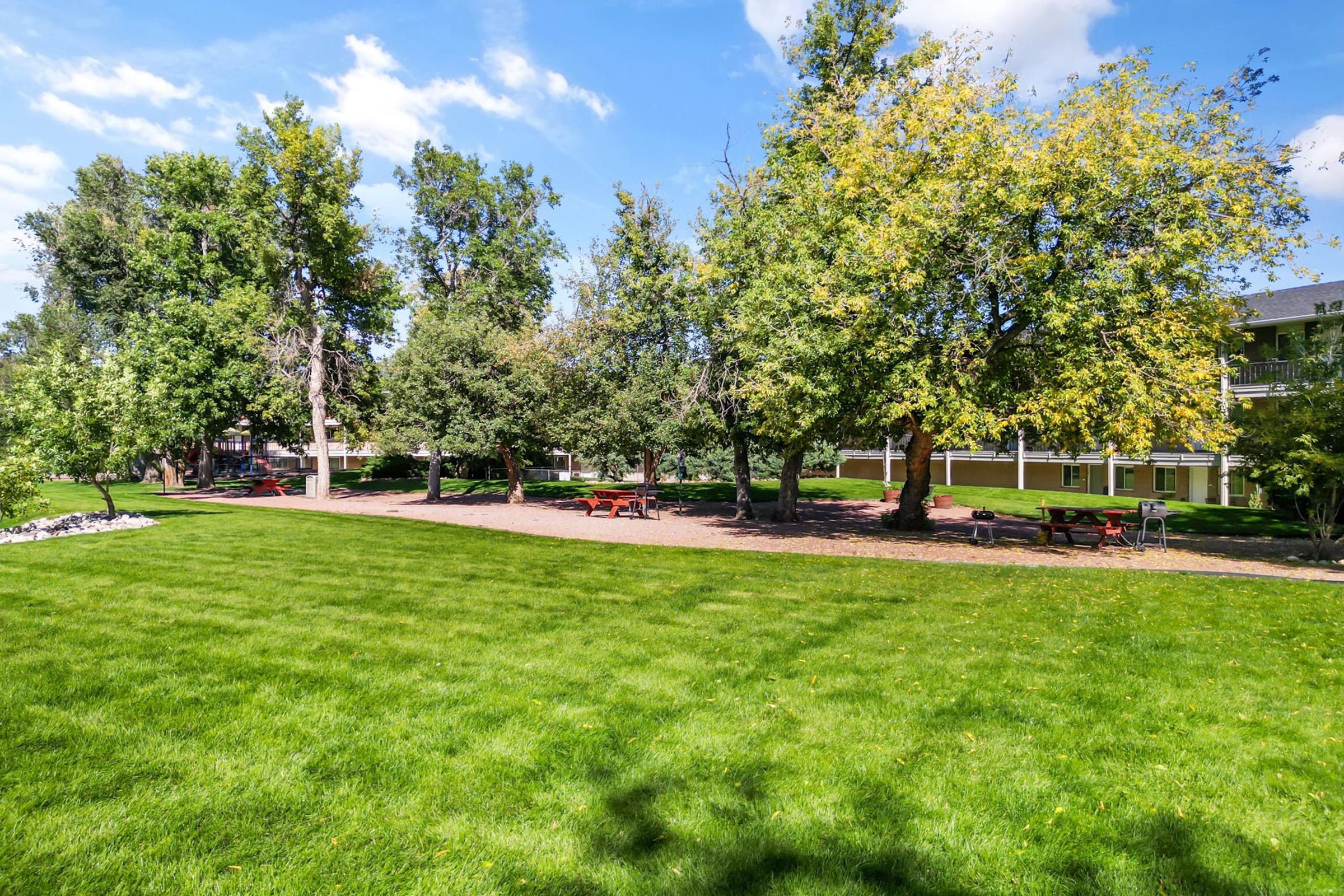 A spacious grassy area with several trees and picnic tables, surrounded by a building in the background. Clear blue sky with a few clouds, and lush greenery contributing to a relaxing outdoor environment. Ideal for gatherings or leisure activities.