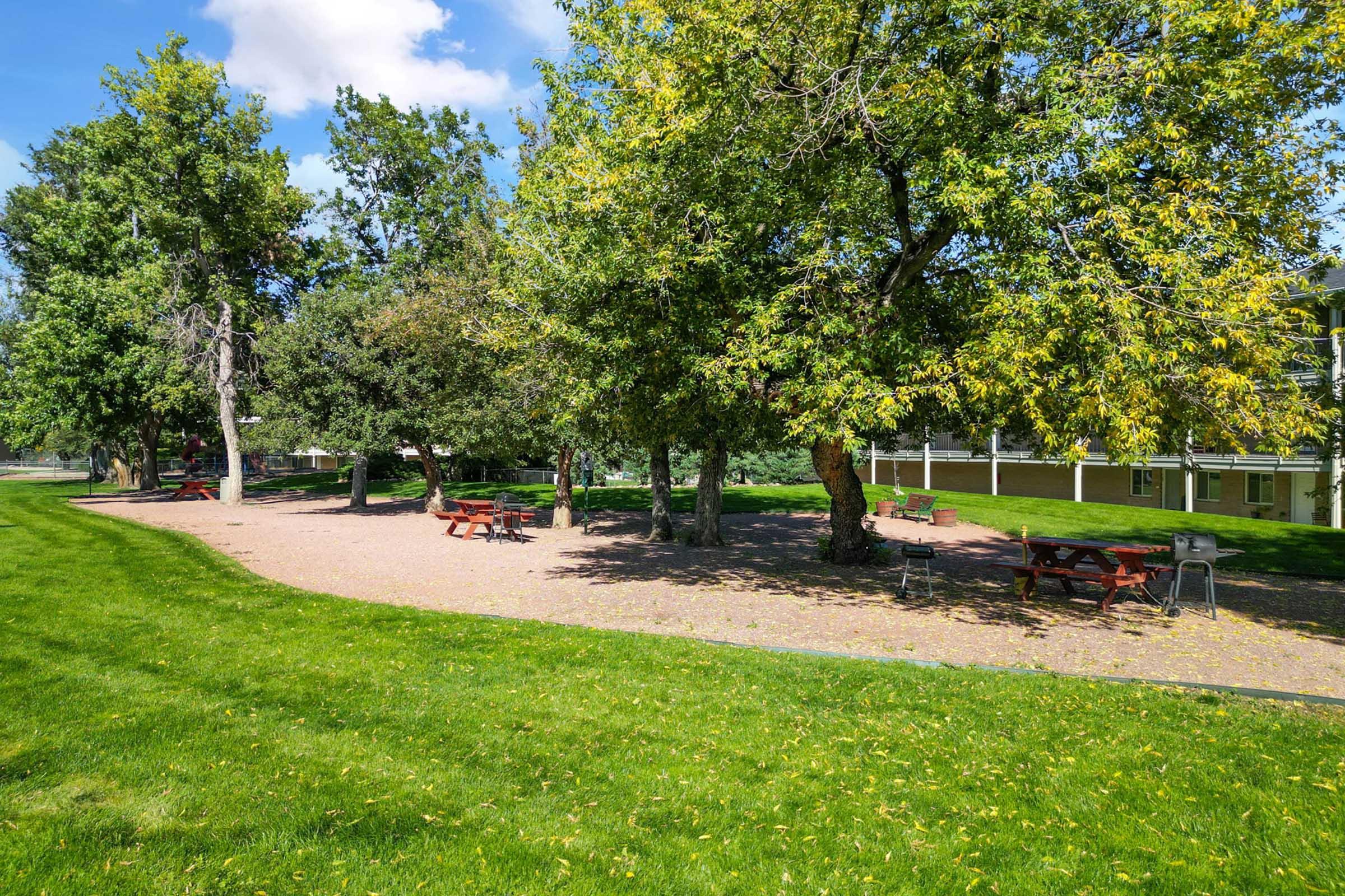 A sunny park scene featuring several picnic tables nestled under lush green trees. The grassy area is dotted with fallen leaves, and a paved path runs alongside the seating area, providing a peaceful, outdoor space for gatherings and relaxation.