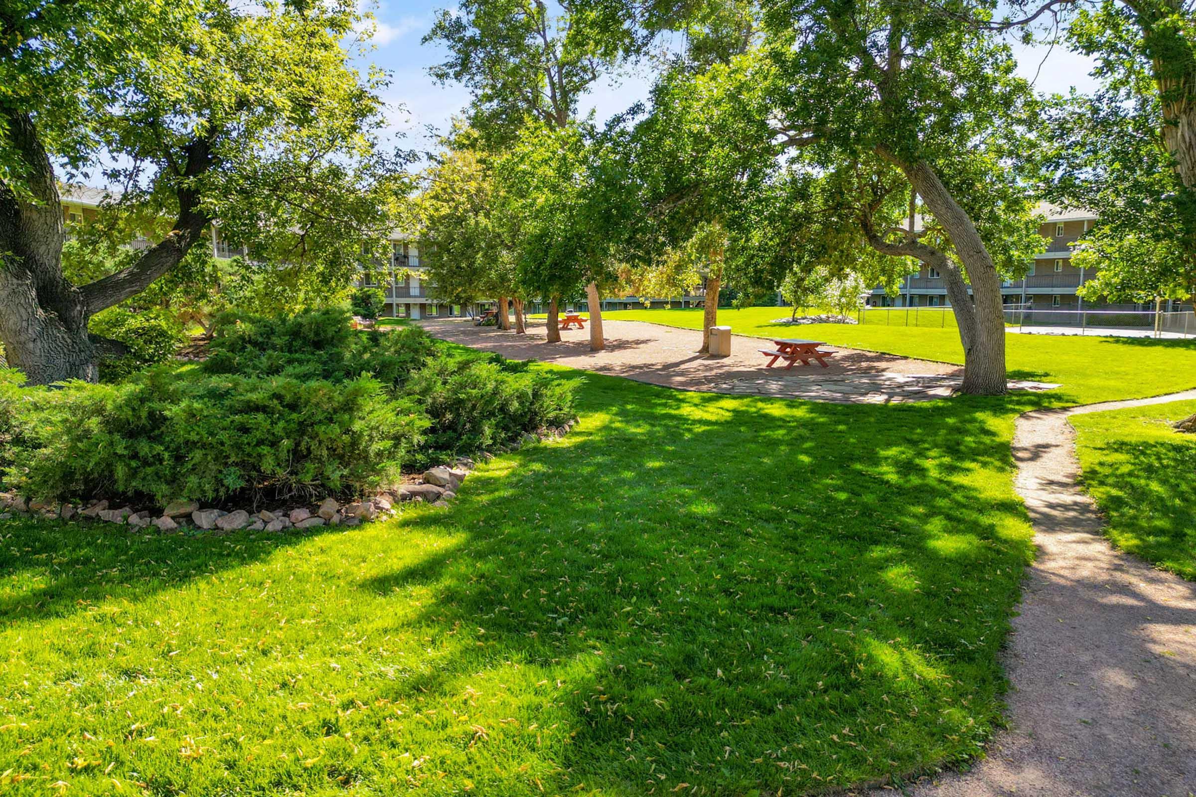 A sunny park area featuring lush green grass, trees, and shrubs. There are picnic tables set in a relaxed, open space with a clear path winding through. The background shows a building, enhancing the tranquil atmosphere of the outdoor setting.