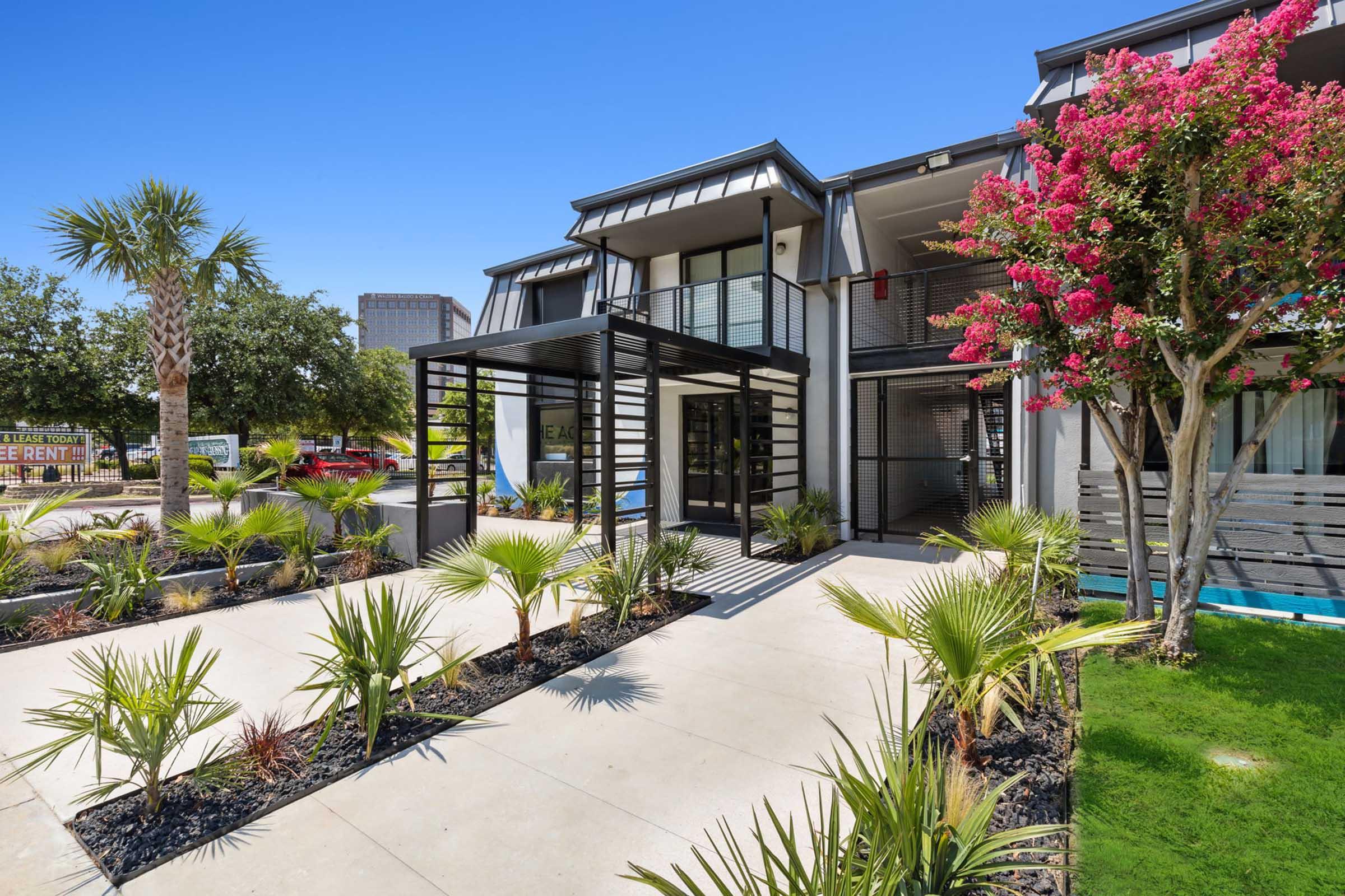 Modern entrance to a stylish building, featuring a covered walkway with black metal accents. Surrounding the entrance are neatly arranged palm plants and vibrant pink flowering trees. The clear blue sky above adds to the bright and welcoming atmosphere of the property.