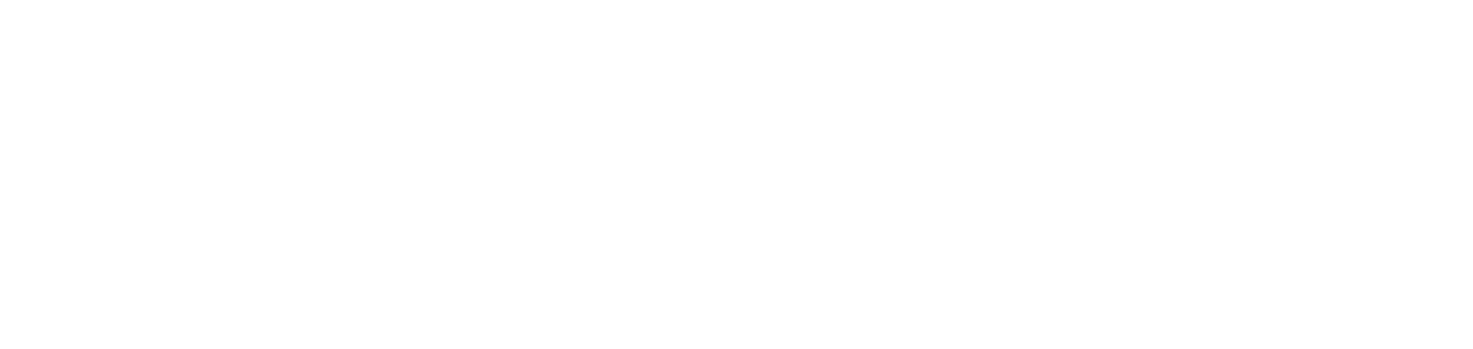 The Ace Apartments ebrochure logo