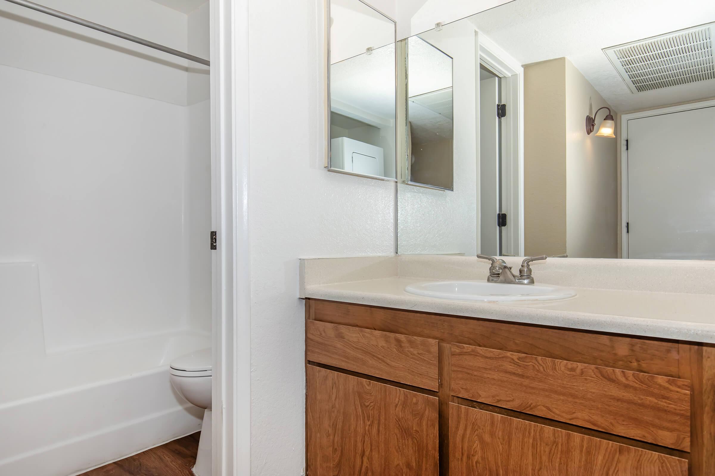 a shower that has a sink and a mirror