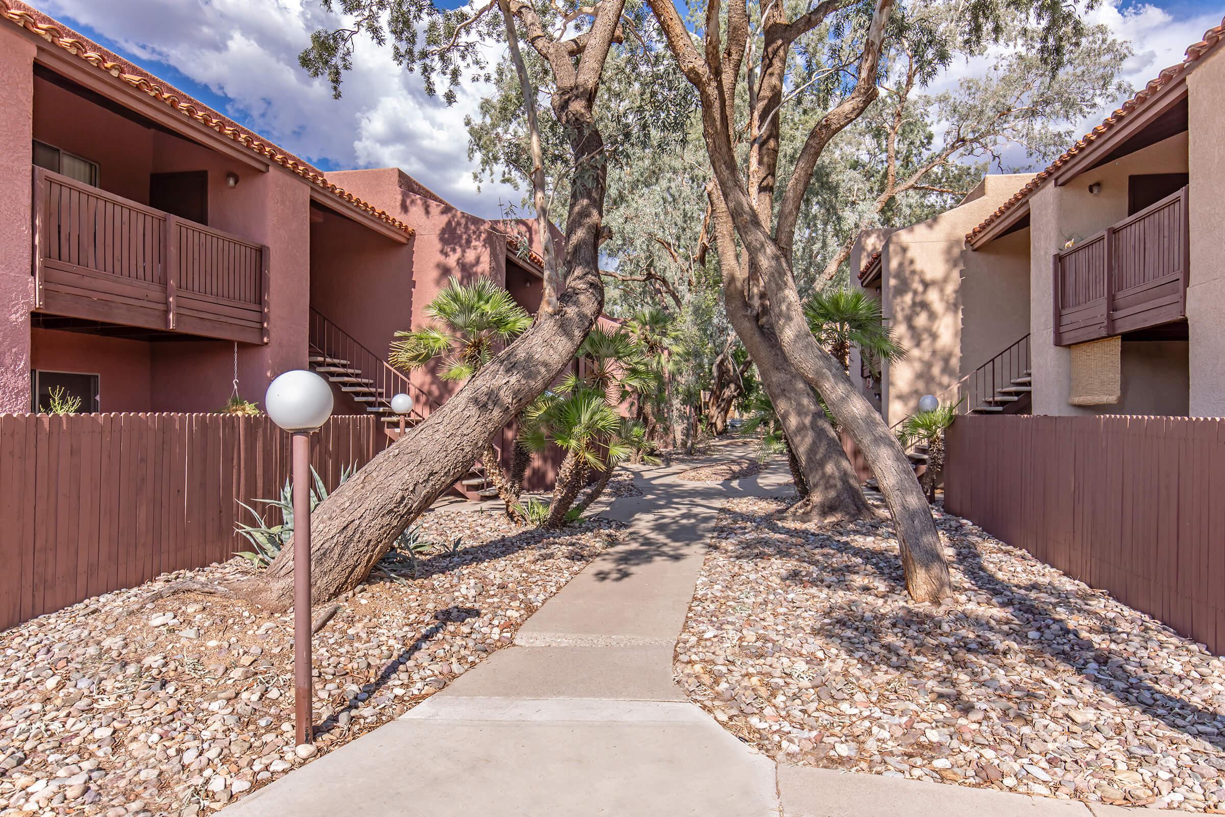 a tree in front of a building