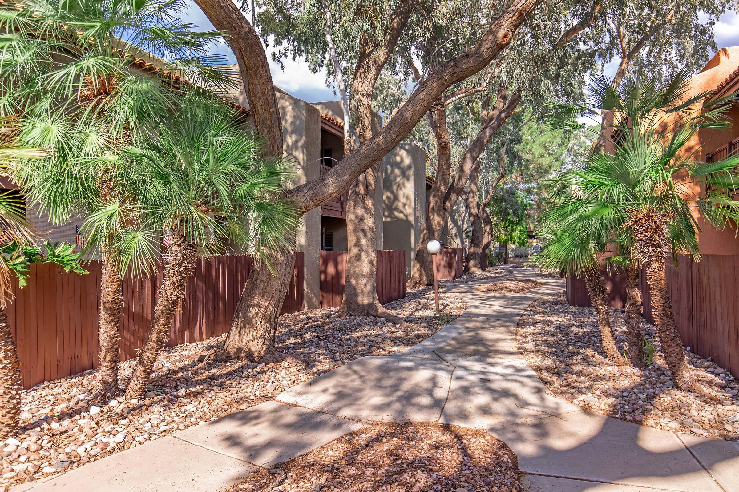 a group of palm trees next to a tree