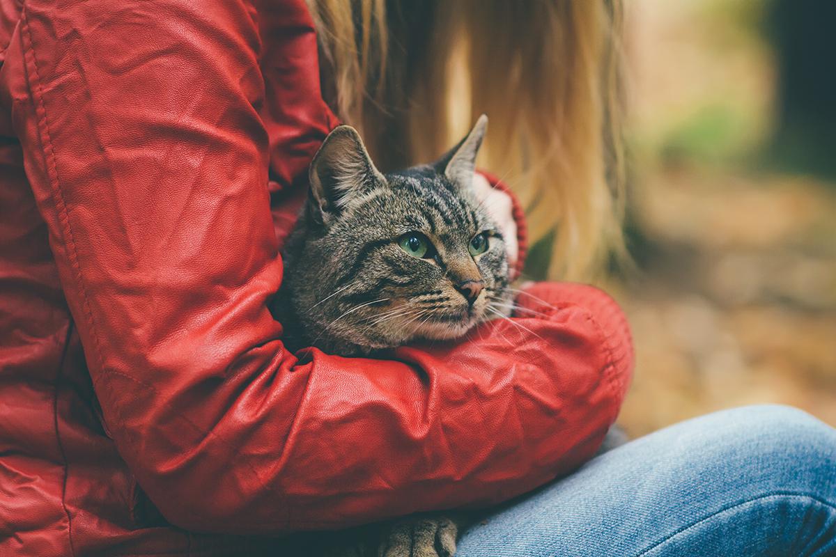 lady with cat.jpg