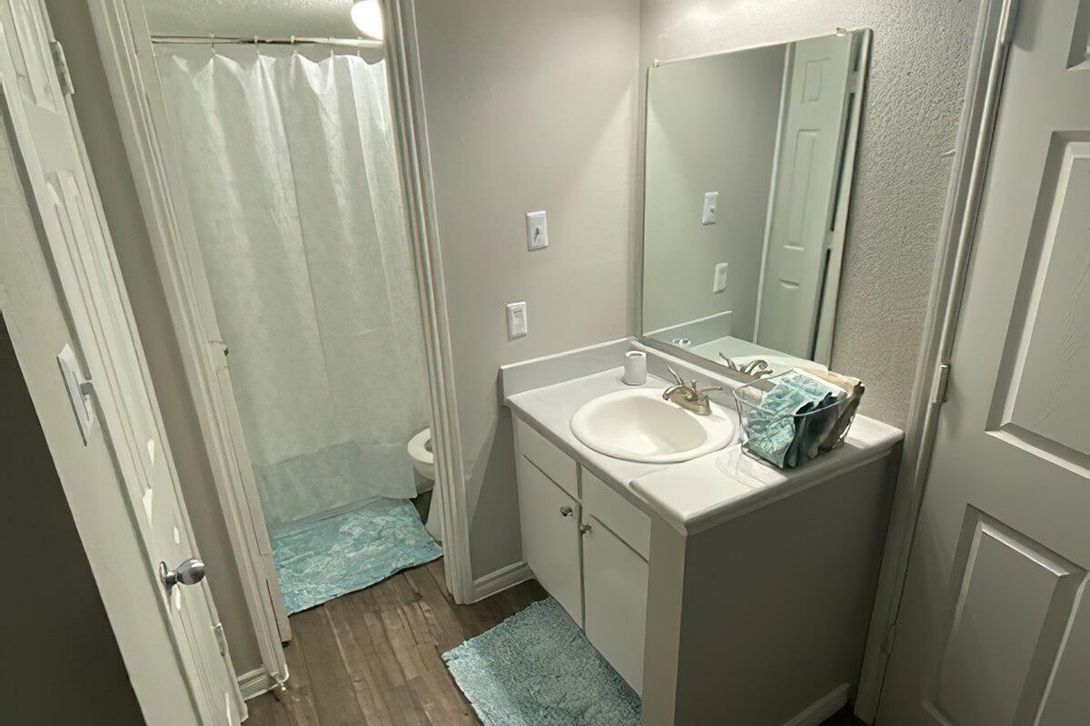 a restroom with a sink and a mirror