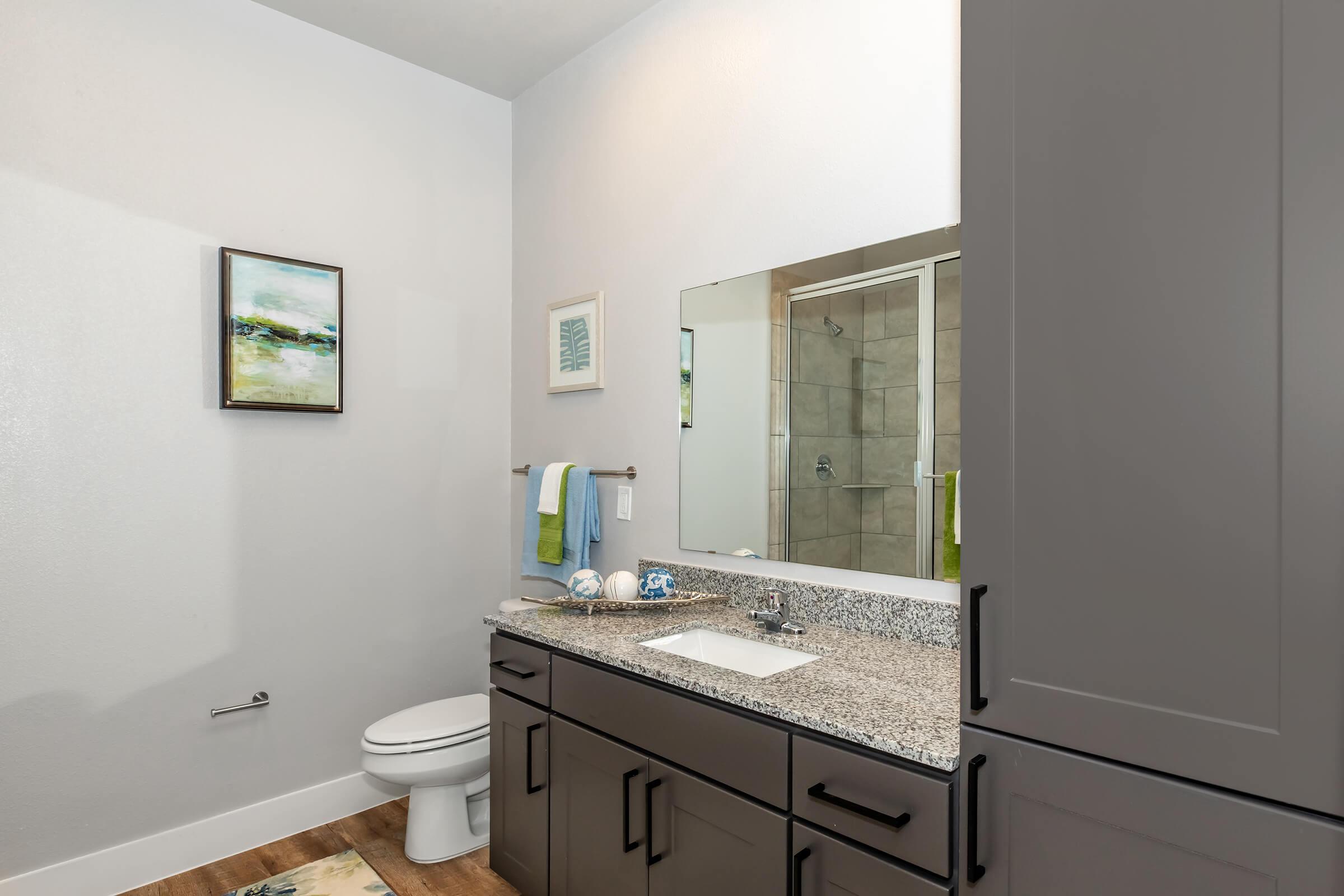 Modern bathroom featuring a gray vanity with a granite countertop, a rectangular mirror, and a glass shower. Wall art included, along with towels hanging on a rack. The floor is wooden, and a small rug is visible. Overall, the space is well-lit and stylishly designed.