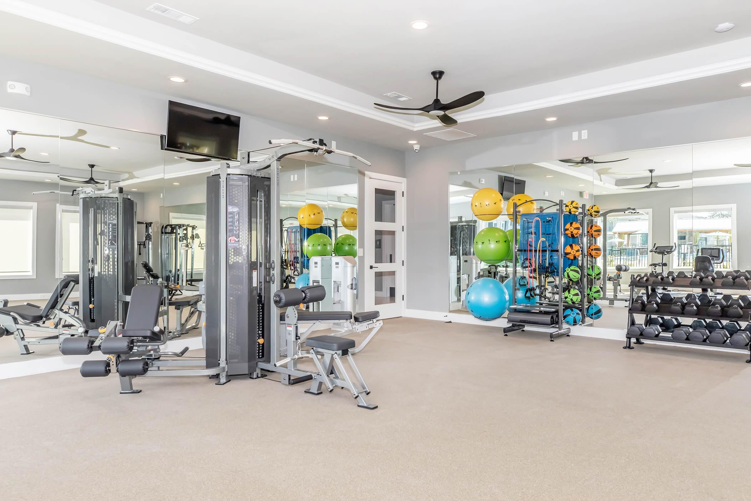 A modern fitness gym interior featuring exercise equipment such as weight machines, free weights, exercise balls, and a television. The space has mirrors on the walls, ceiling fans, and is illuminated with natural light, creating a bright and inviting atmosphere for workouts.