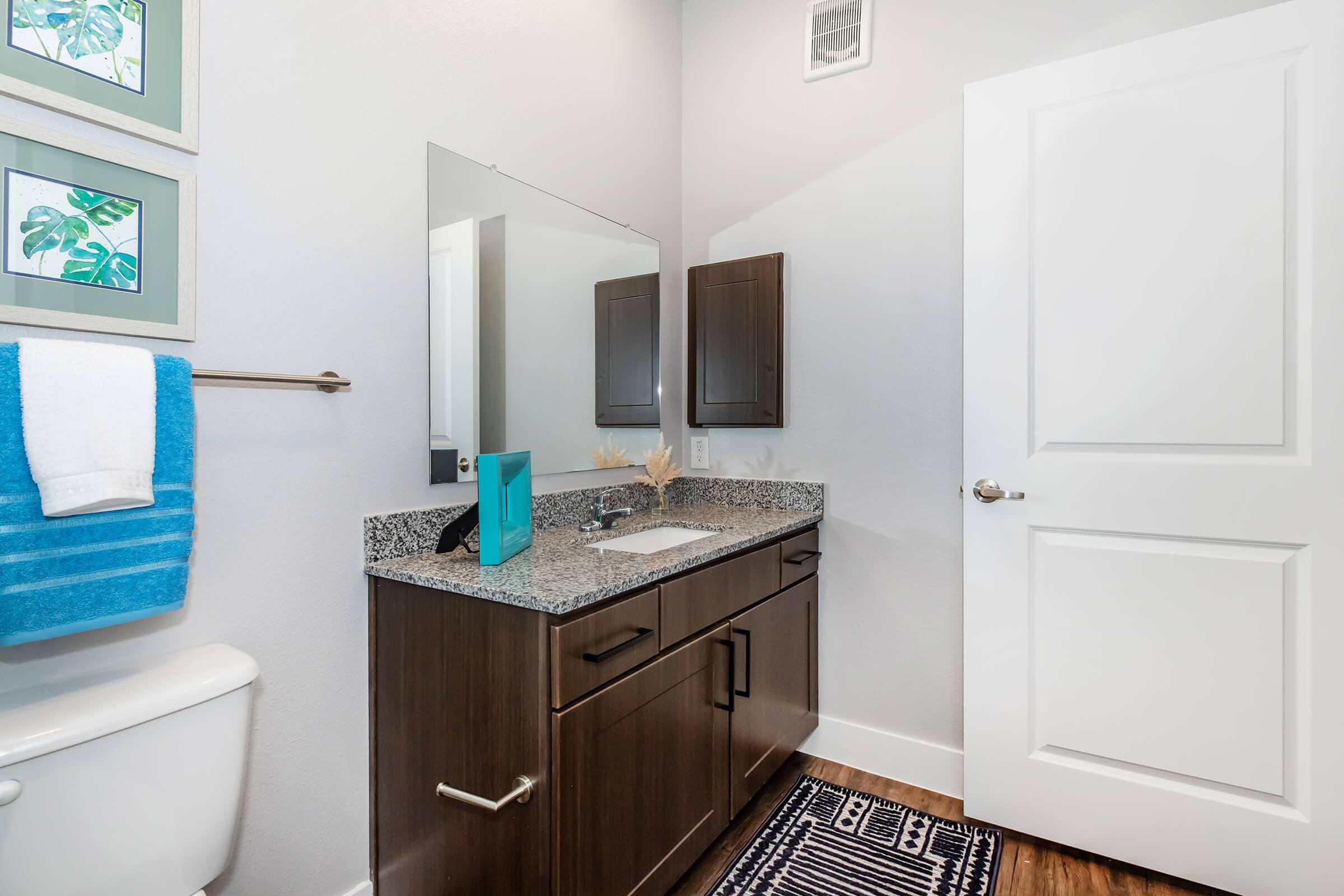 A modern bathroom featuring a granite countertop vanity with dark wooden cabinets, a large mirror, and a blue towel hanging on a silver rack. There is a white toilet and a navy blue patterned rug on the floor. Two framed leaf prints are displayed on the wall above the sink area.