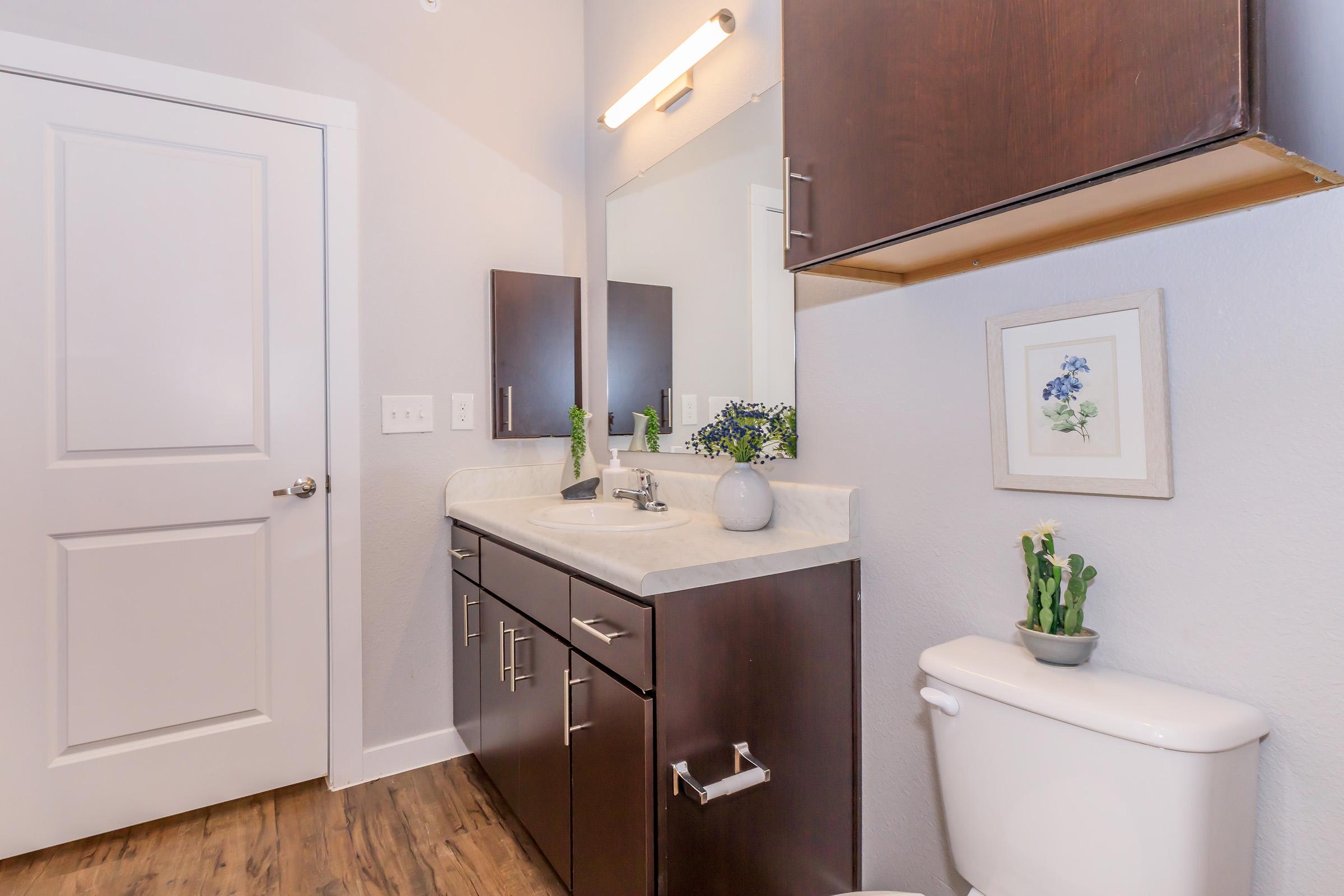 A modern bathroom featuring a vanity with a sink and storage cabinets, a large mirror, and a light fixture above. The decor includes green plants and framed artwork. A white toilet is positioned next to the vanity, with a wooden floor enhancing the contemporary look.