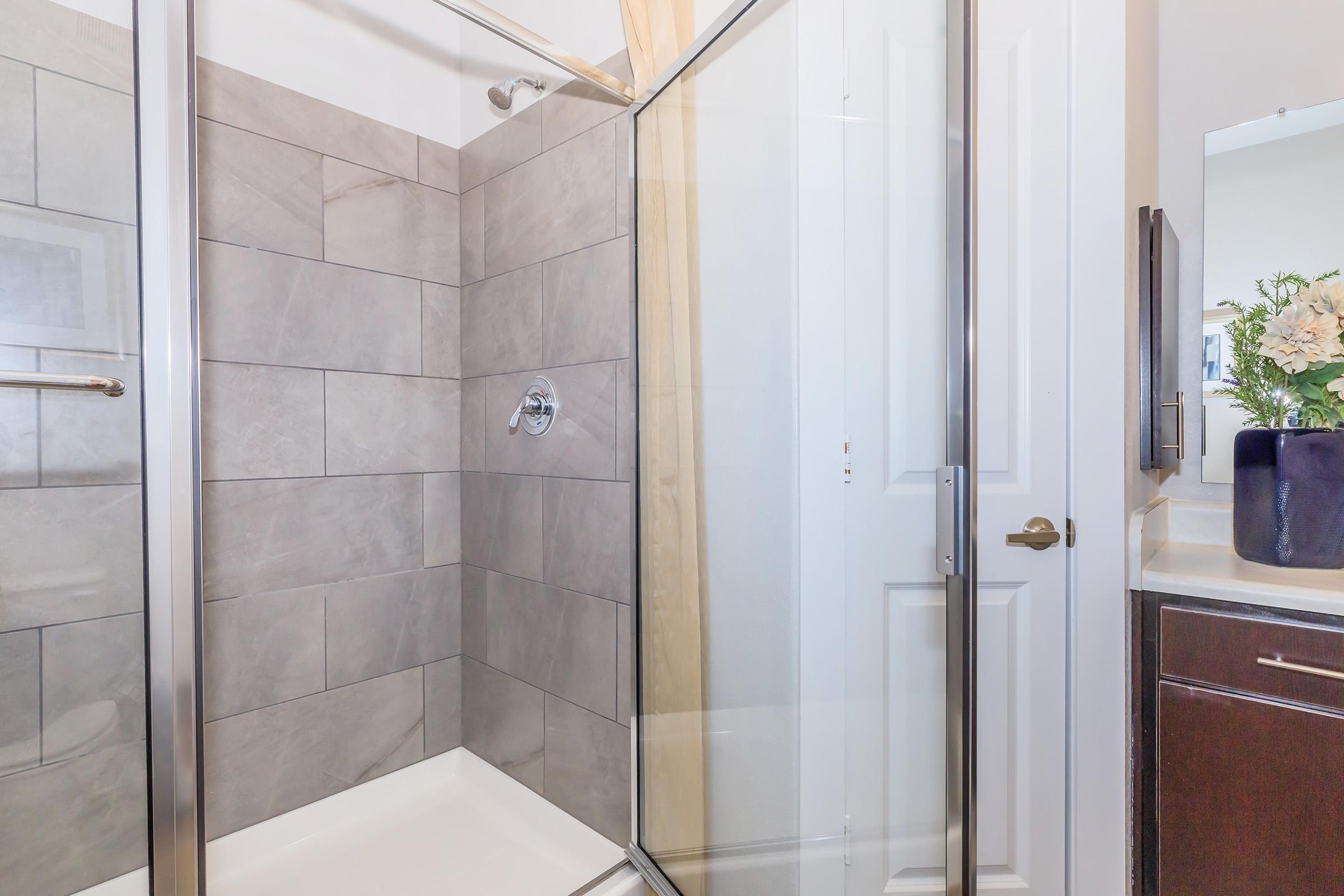 A modern bathroom featuring a glass shower enclosure with gray tiled walls. The shower has a silver showerhead and a white shower base. There is a closed door to the left and a mirror above a dark cabinet on the right, which has a potted plant with flowers. Natural light is present in the space.