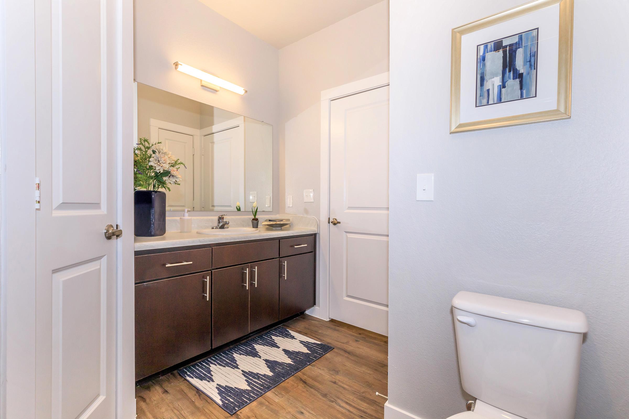 A modern bathroom featuring a double-sink vanity with dark wood cabinetry, a large mirror with lighting above, a decorative vase with flowers, and a framed abstract artwork on the wall. There's a toilet visible in the corner and a patterned rug on the floor. The walls are painted in a light gray color.