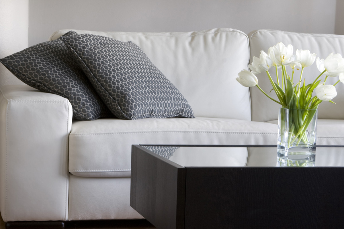 Apartment Features
