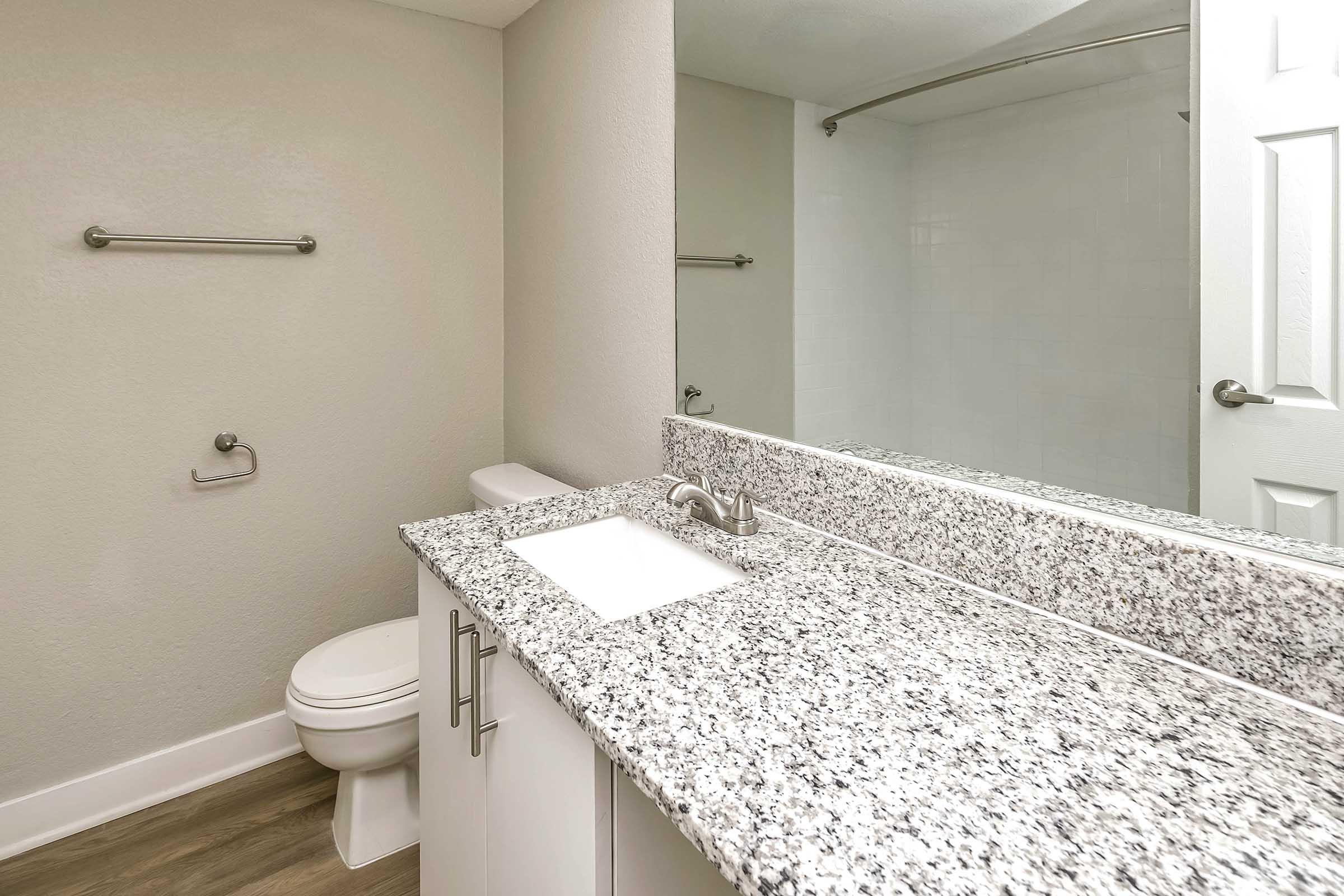 A modern bathroom featuring a granite countertop with a sink, a toilet, and a large mirror. The walls are painted in a neutral color, and there are towel racks on the walls. The flooring appears to be wood-like laminate.