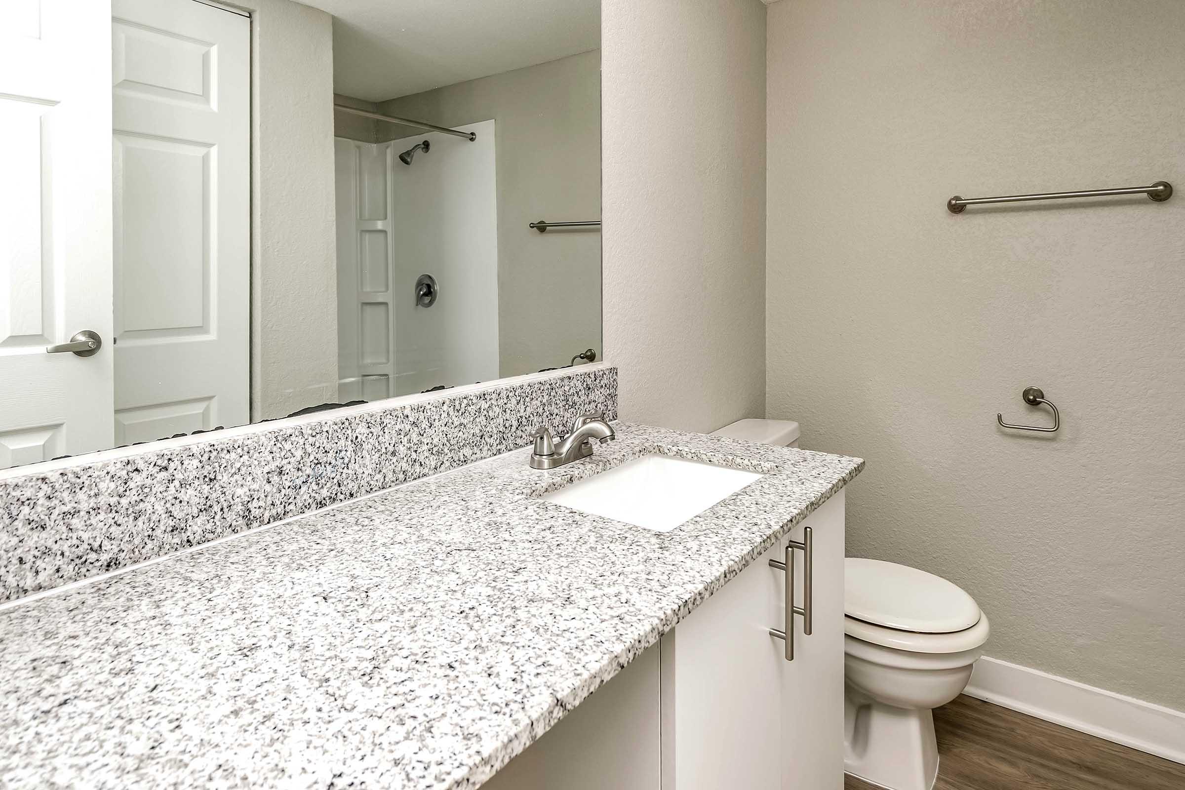 A modern bathroom featuring a granite countertop with a rectangular sink, a white toilet, and a large mirror. The walls are painted in light gray, and there's a shower area in the background. A towel bar is mounted on the wall, and the flooring is a warm wood tone.