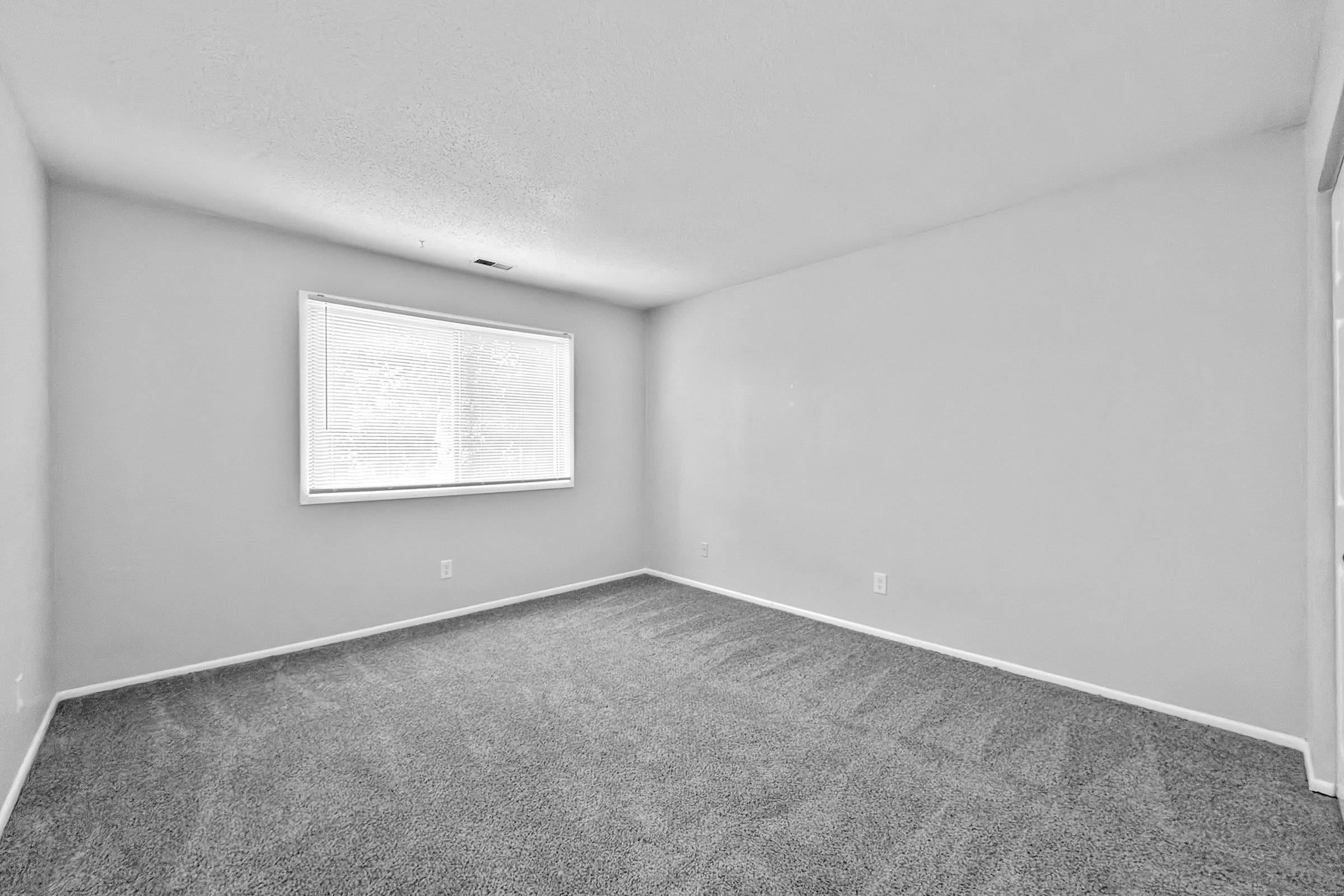 Empty room with gray carpet and light-colored walls. A single window with blinds allows natural light to enter. The space appears clean and minimalistic, with no furniture or decorations present. The floor has a smooth texture, and the overall atmosphere is bright and open.
