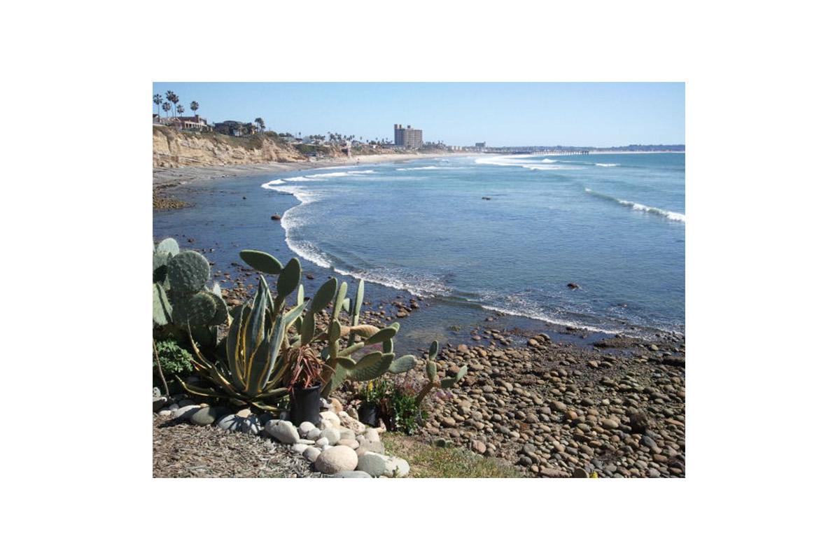 beach4.jpg