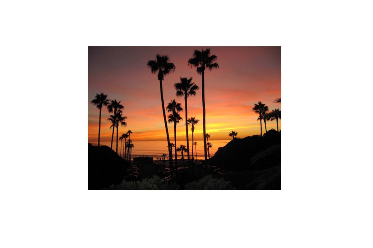 sunset1.jpg
