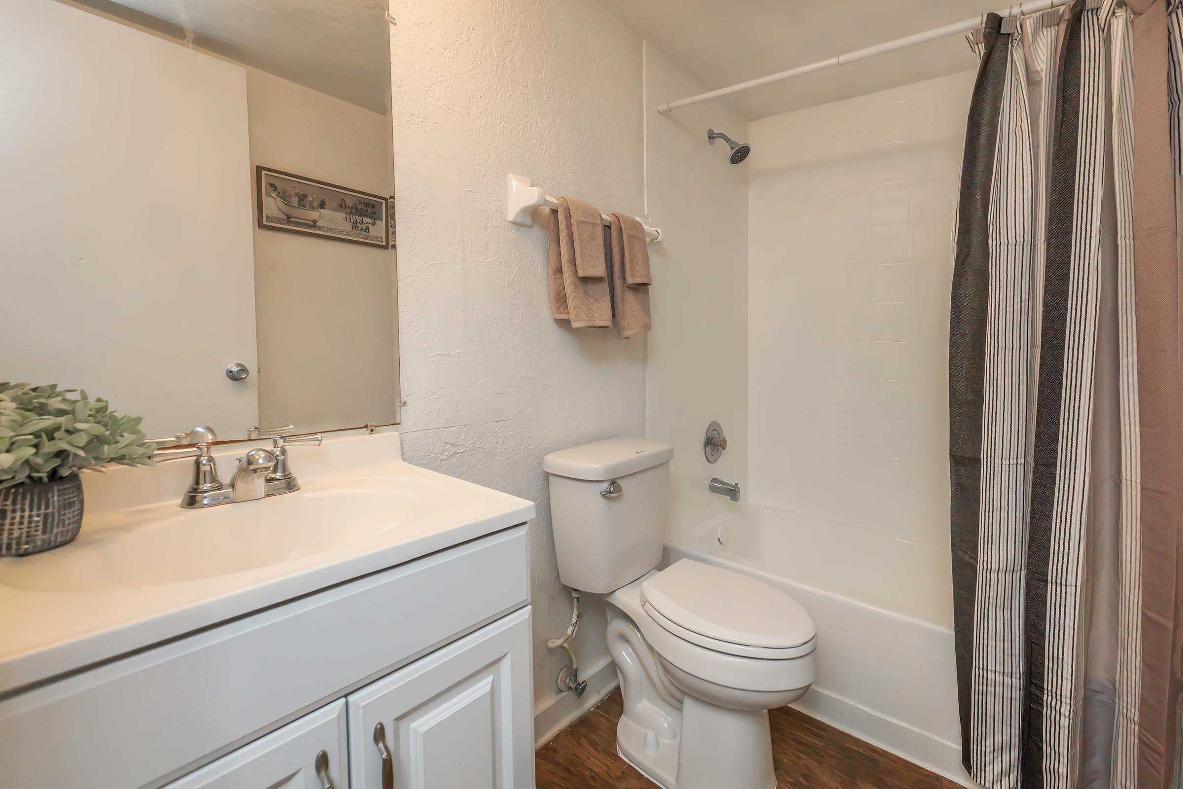 a shower that has a sink and a mirror