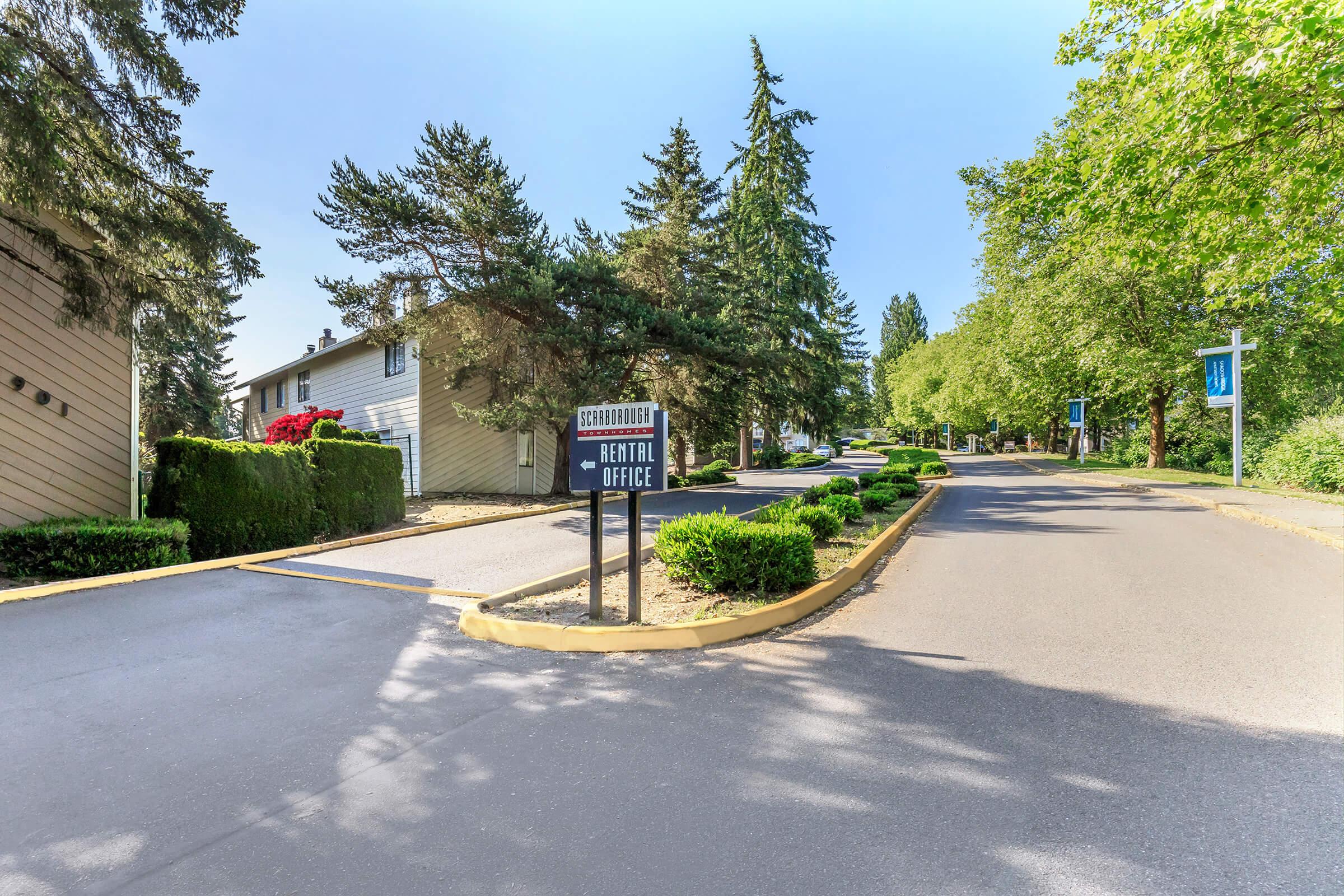 A view of a serene road leading to a dental office. The path is bordered by well-maintained greenery and shrubs, with trees lining both sides. The sign indicating the dental office is prominently displayed. Clear blue skies and sunlight create a welcoming atmosphere.