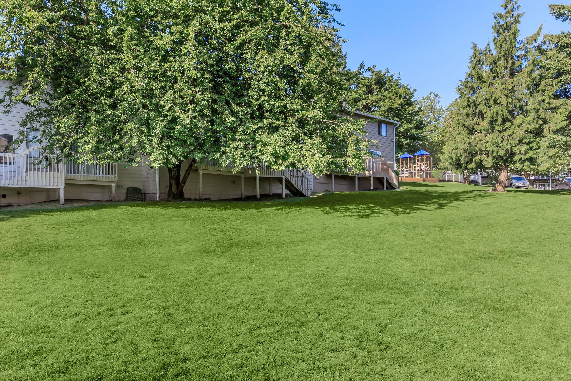 A sunny backyard with lush green grass and large trees. In the background, a two-story house with a deck is visible. There is a playground with a slide and swings on the left, and several cars parked along the edge of the yard. The clear blue sky adds to the bright atmosphere.