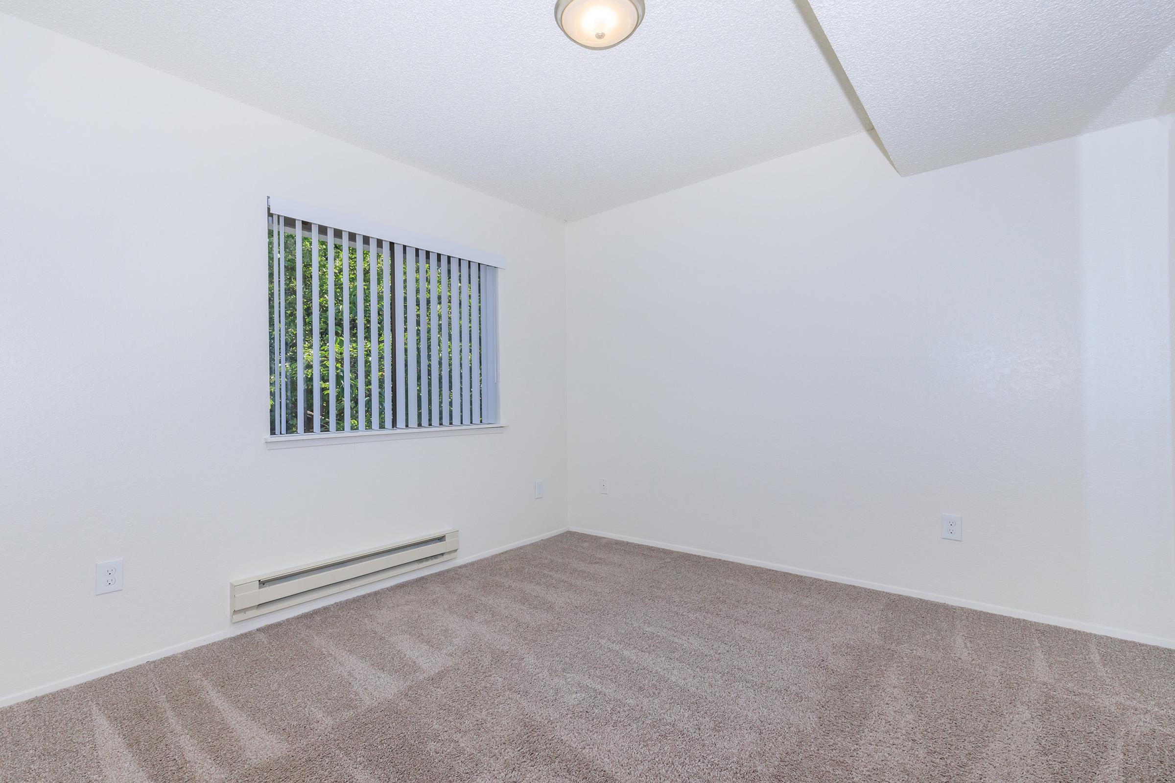 Empty room with beige carpet and white walls. A window with vertical blinds allows natural light. The ceiling features a round light fixture, and there is a baseboard heater along one wall. The space appears clean and ready for furnishing.
