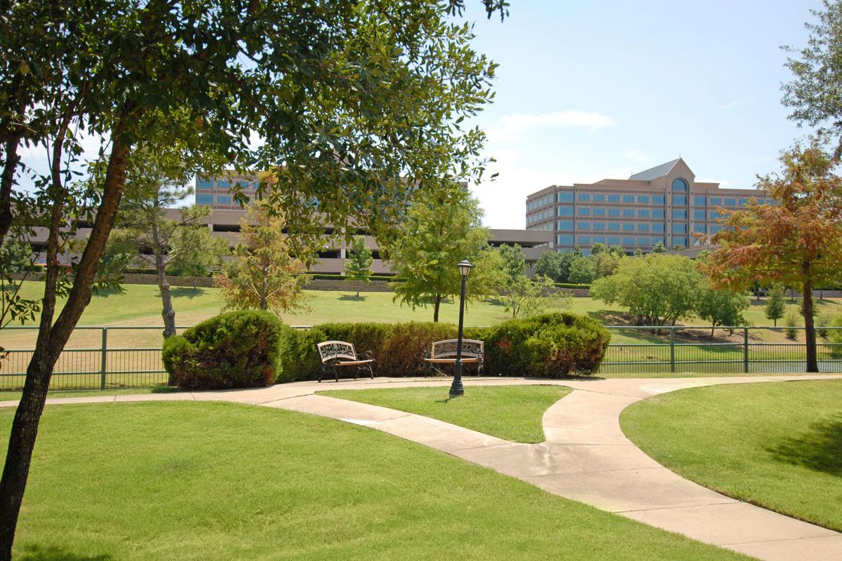 a path in a park