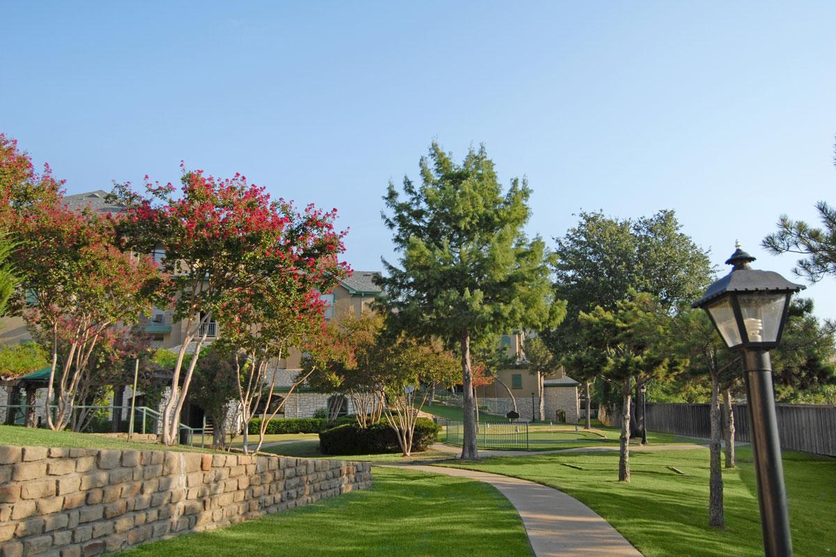 a large tree in a park