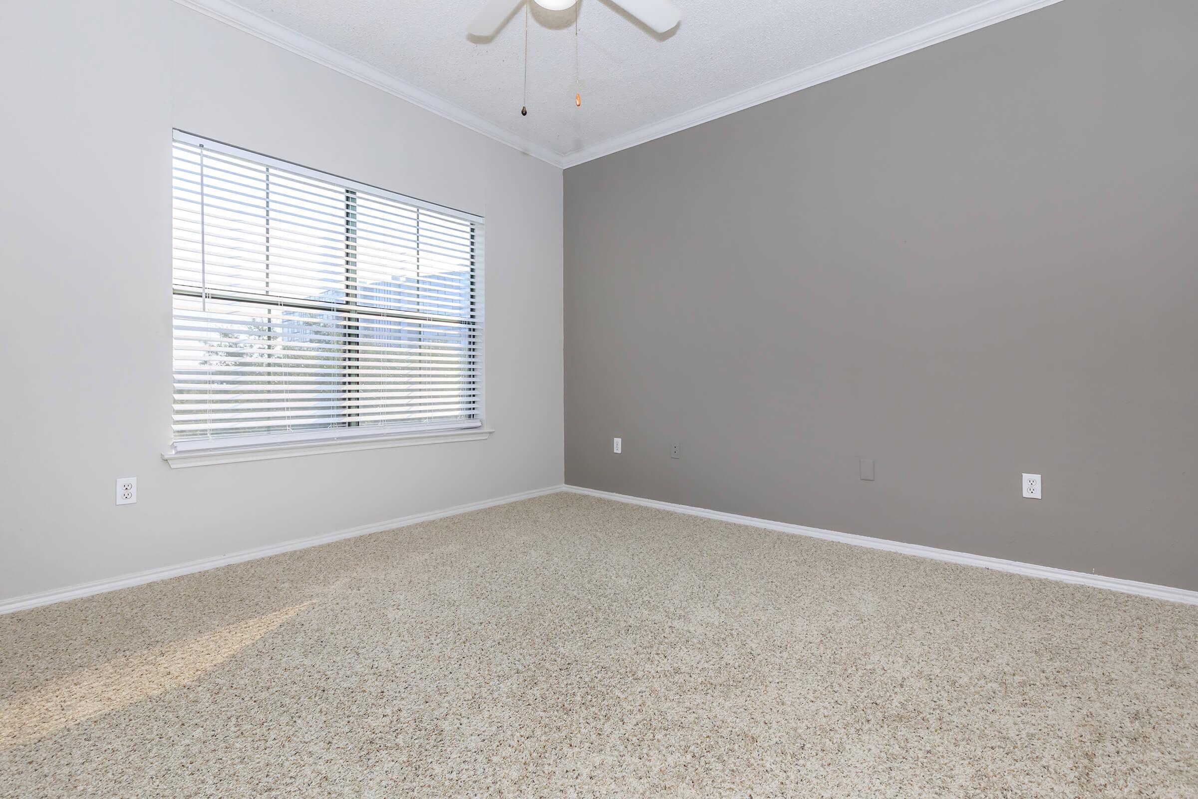 Empty room with light beige carpet and a gray accent wall. A window with horizontal blinds allows natural light to enter, casting shadows on the floor. The ceiling features a ceiling fan, and there are no furnishings or decorations present, creating a clean and minimalistic space.